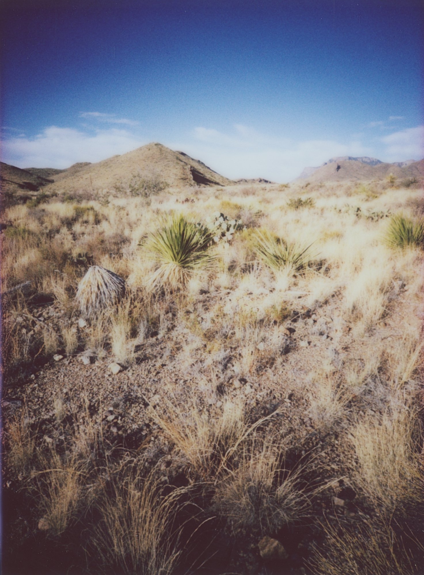 March instax 2 and 3 (170 of 22).jpg
