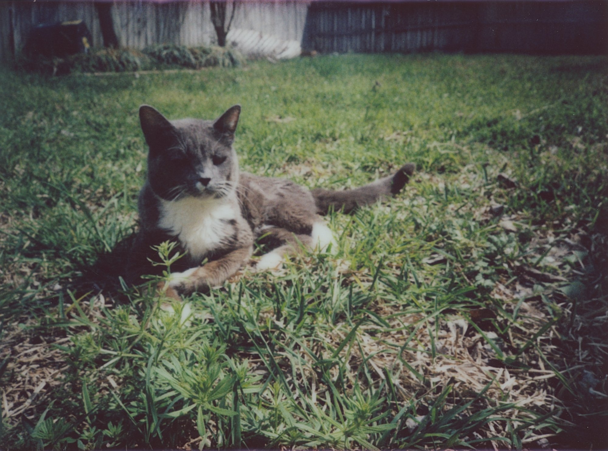 March instax 2 and 3 (179 of 22).jpg