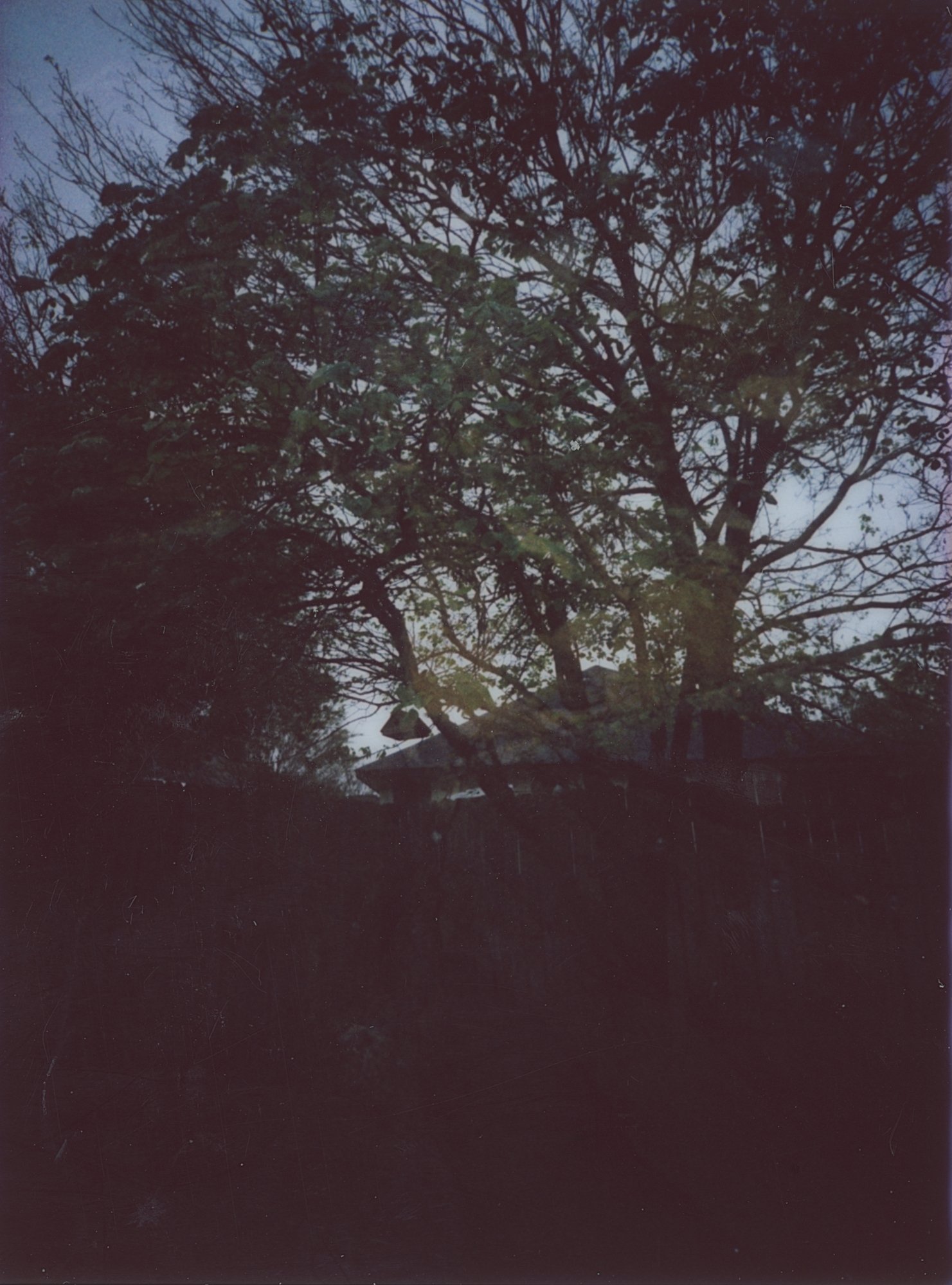 march 365 3 (170 of 8).jpg