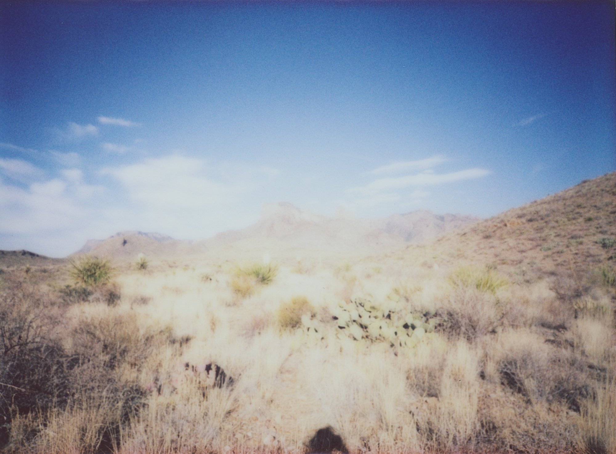 March instax 2 and 3 (177 of 22).jpg