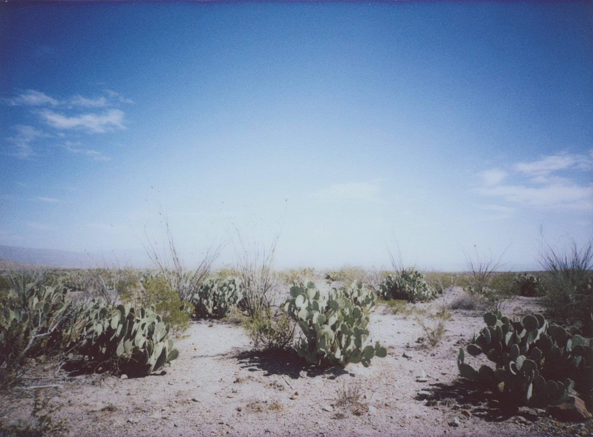 March instax 2 and 3 (174 of 22).jpg