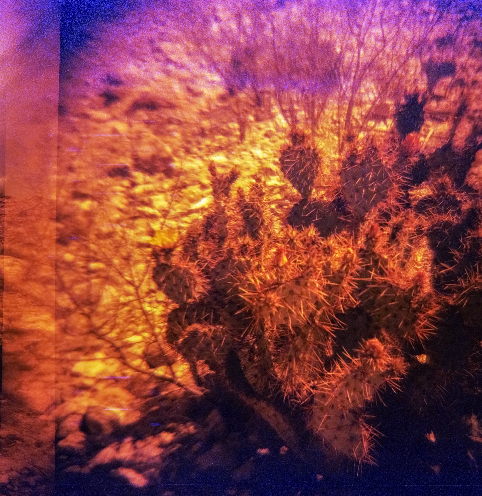 diana redrum big bend itw 2023  (172 of 15).jpg