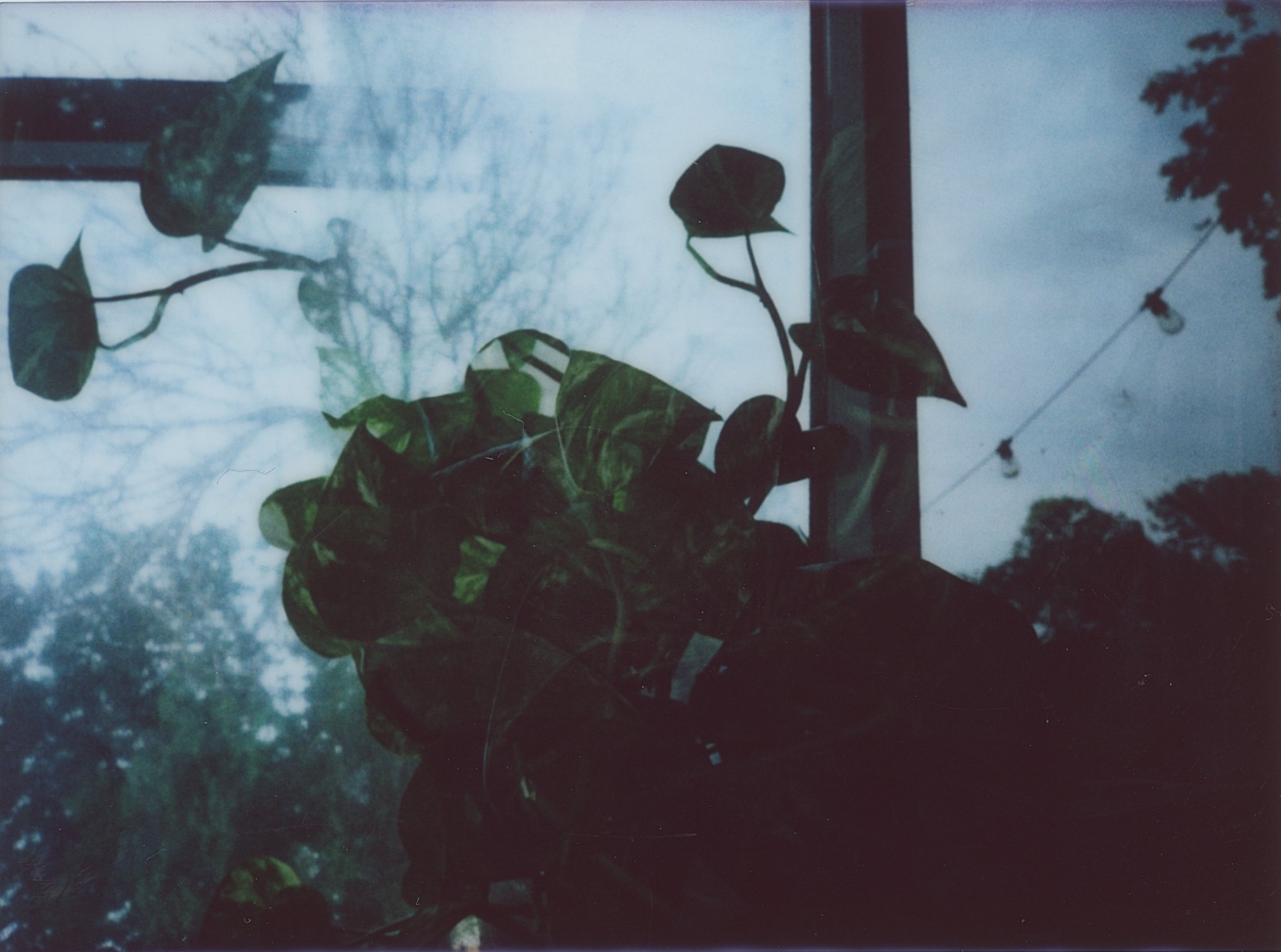 365 instant april 1 (169 of 8).jpg