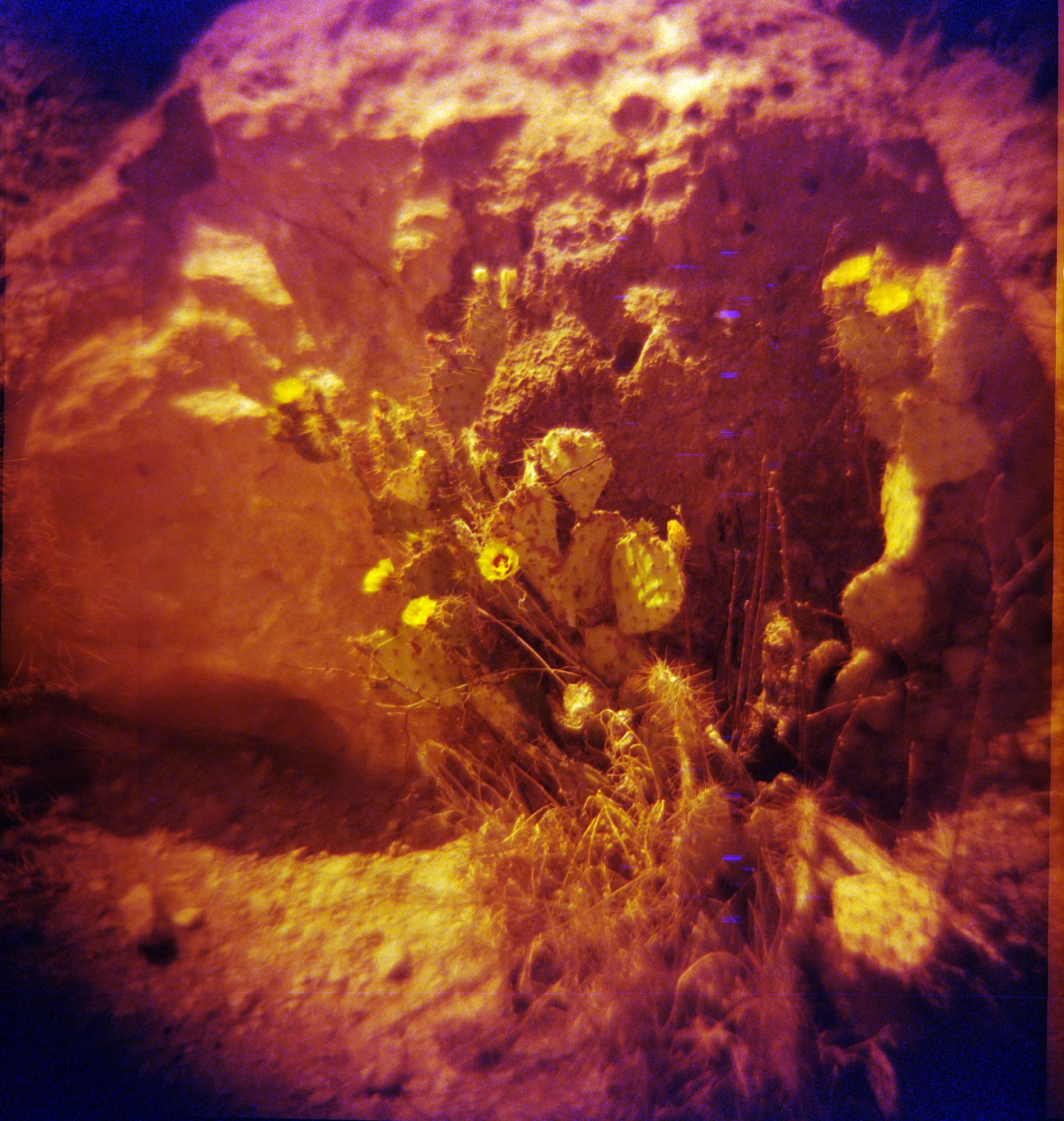 diana redrum big bend itw 2023  (170 of 15).jpg