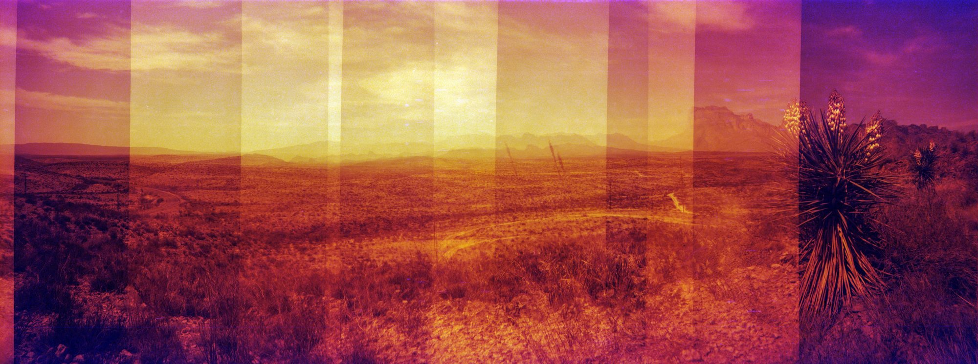 diana redrum big bend itw 2023  (168 of 15).jpg