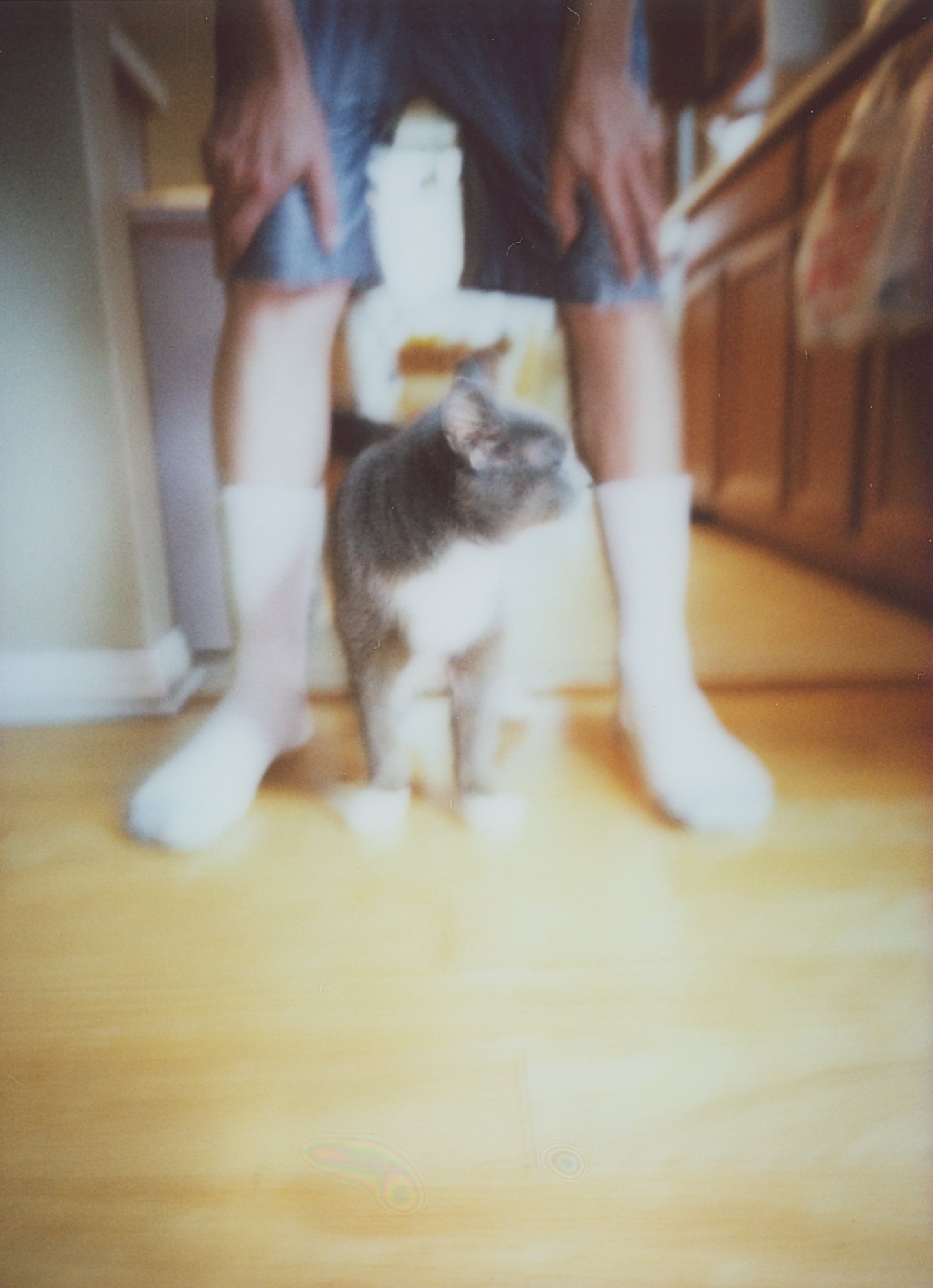 april instant 5 (182 of 15).jpg