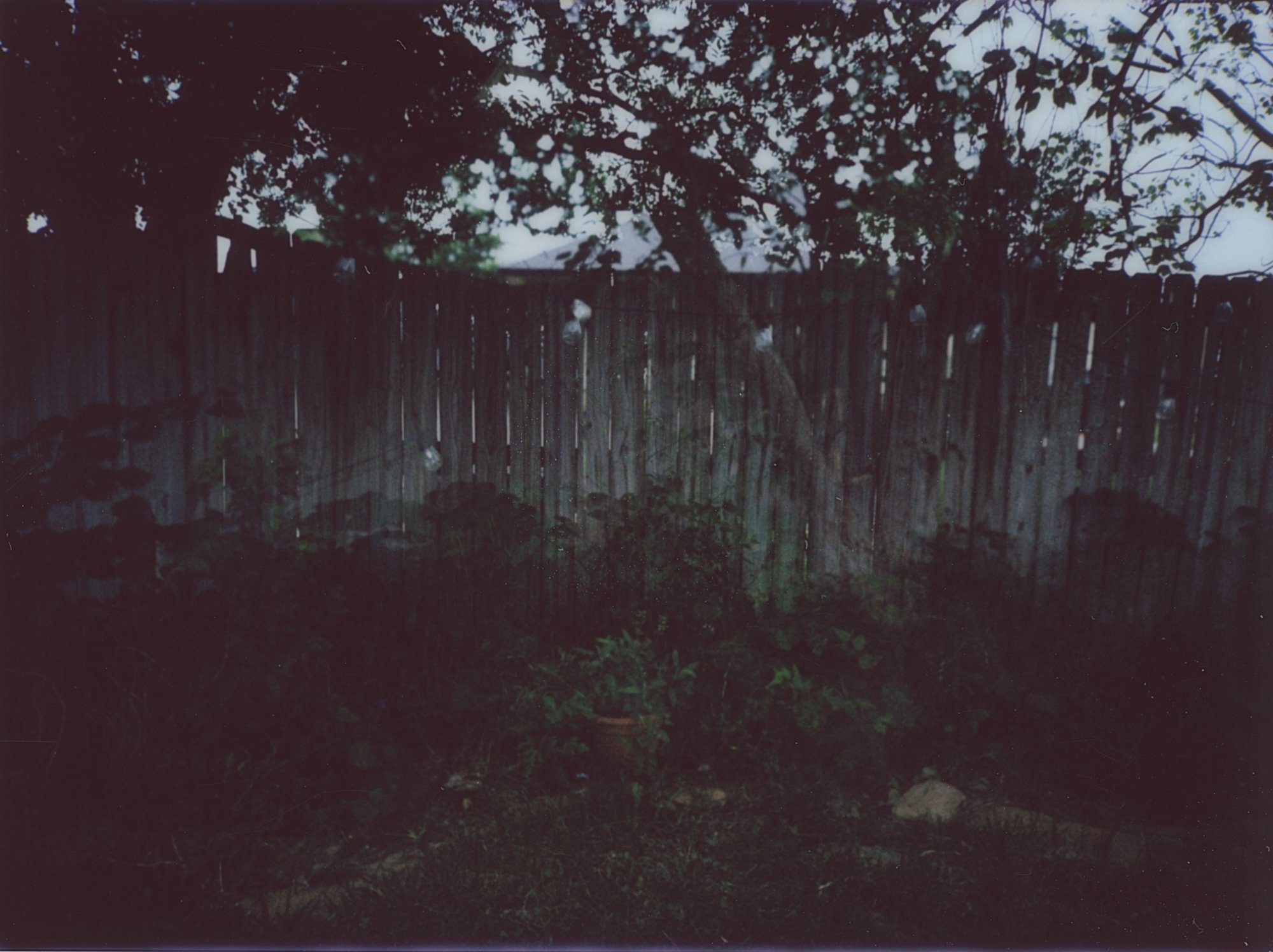 april instant 5 (177 of 15).jpg