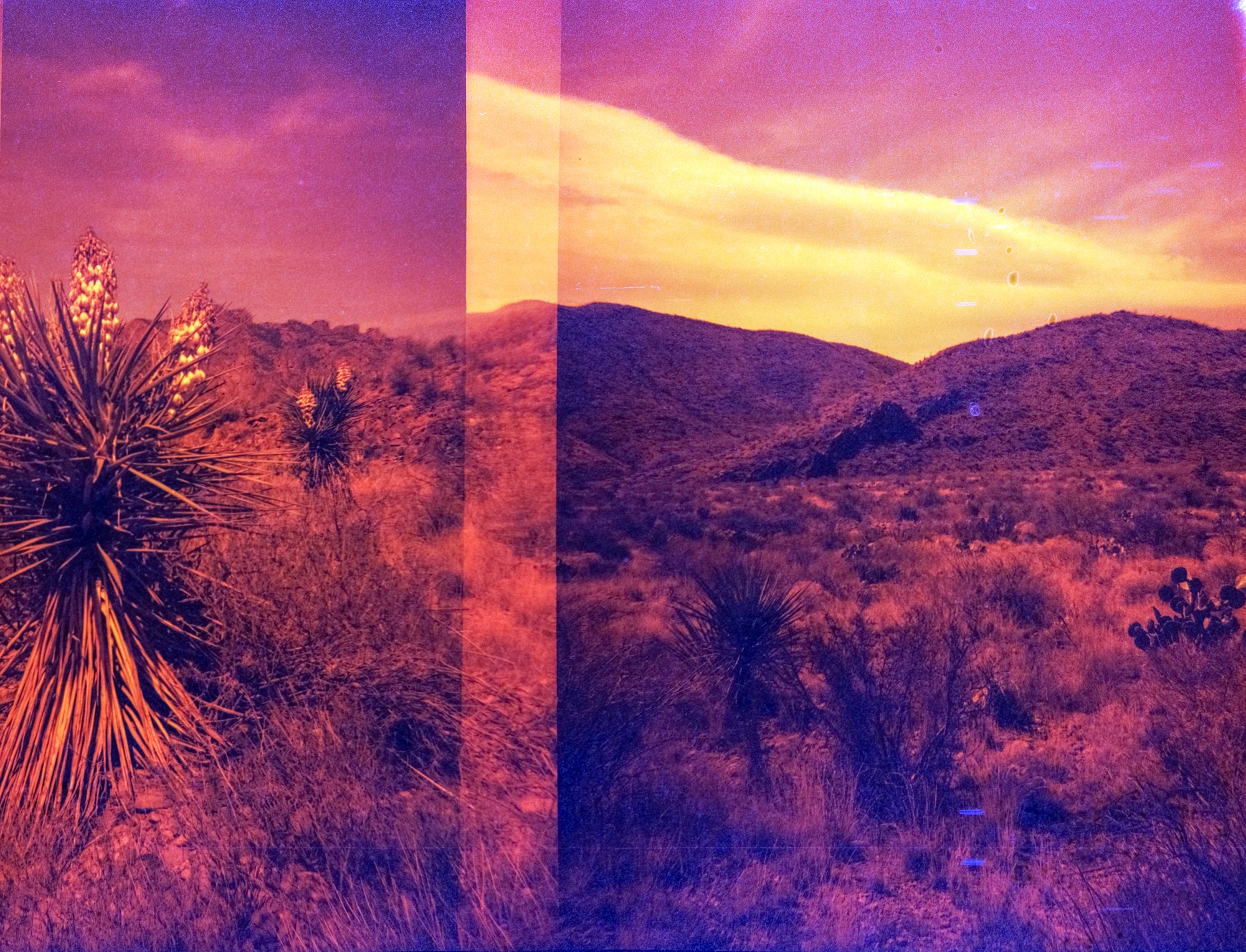 diana redrum big bend itw 2023  (169 of 15).jpg