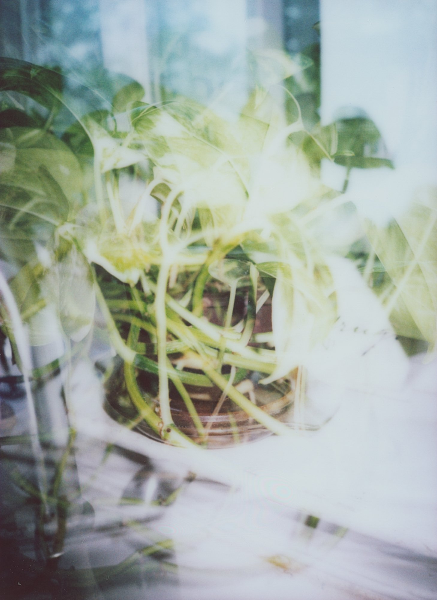 april instant 4 (169 of 8).jpg