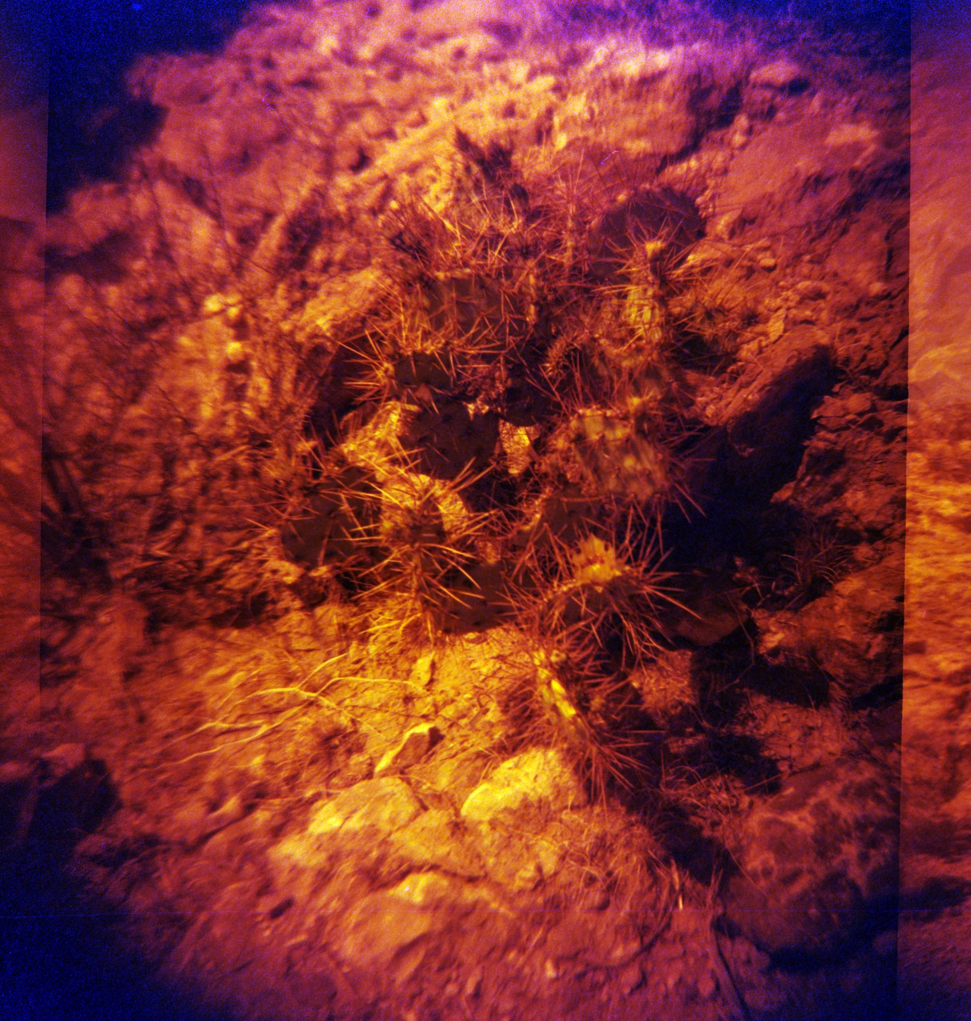 diana redrum big bend itw 2023  (173 of 15).jpg