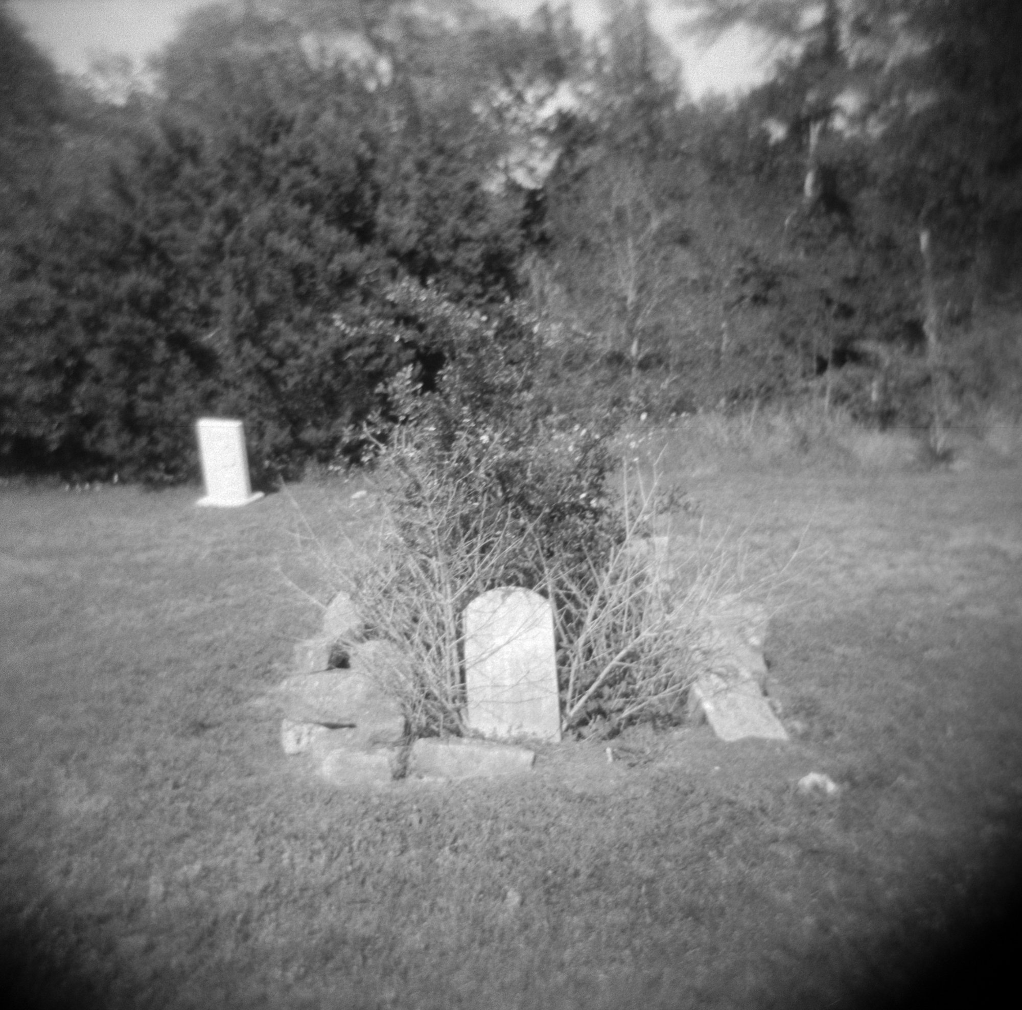 frugal film may (174 of 12).jpg