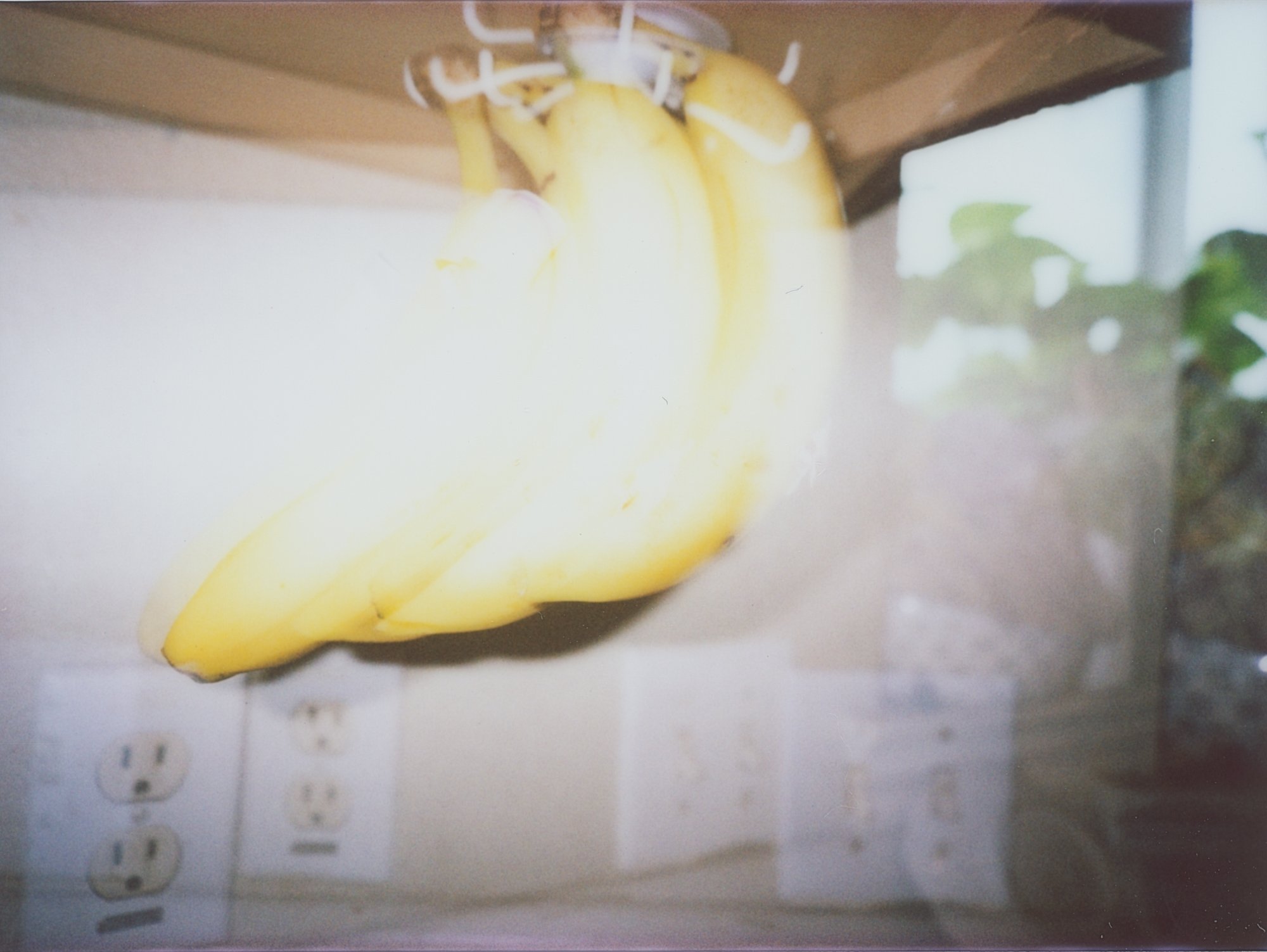 april instant 5 (180 of 15).jpg