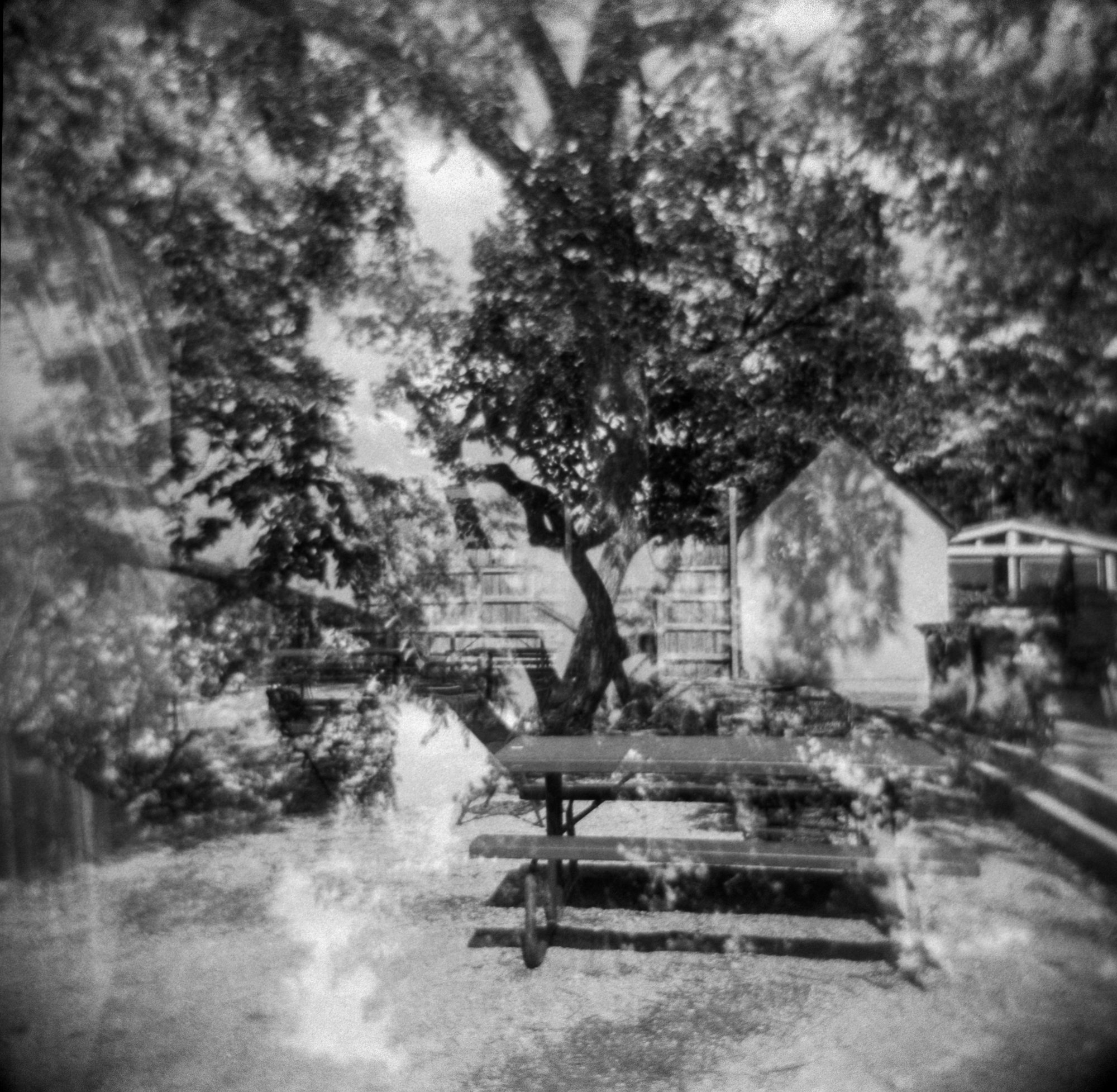 frugal film may (172 of 12).jpg