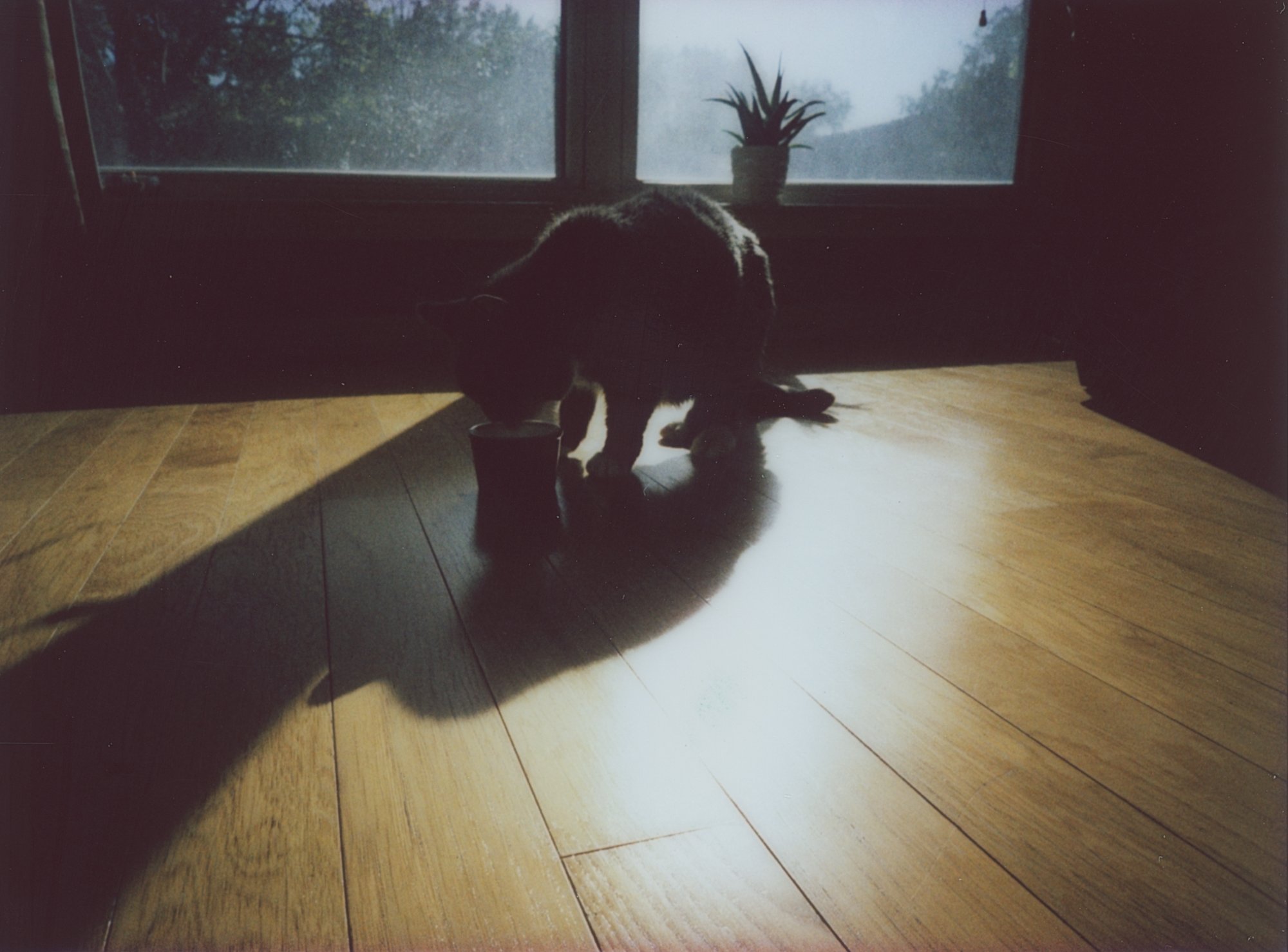 april instant 5 (172 of 15).jpg