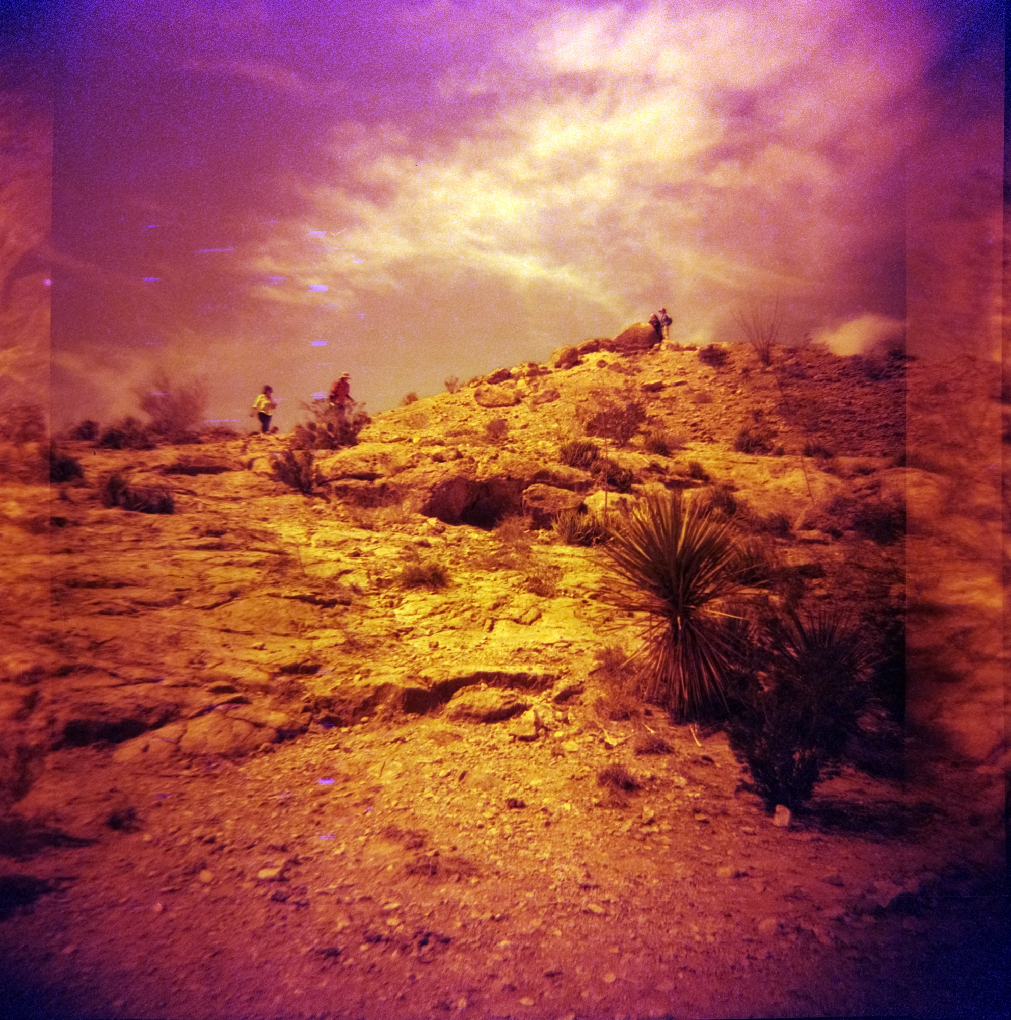 diana redrum big bend itw 2023  (171 of 15).jpg