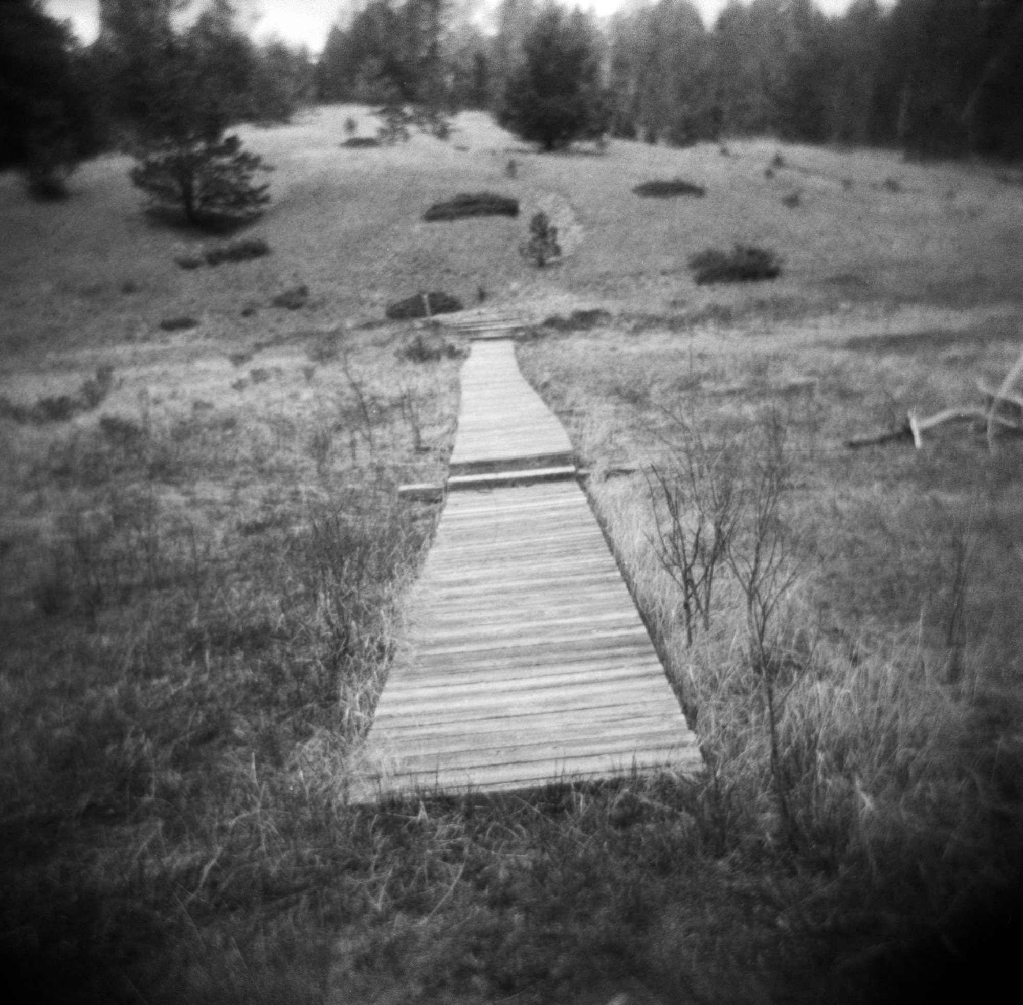 Frugal Film Roll July Holga Holga ITW23 CO (173 of 12).jpg