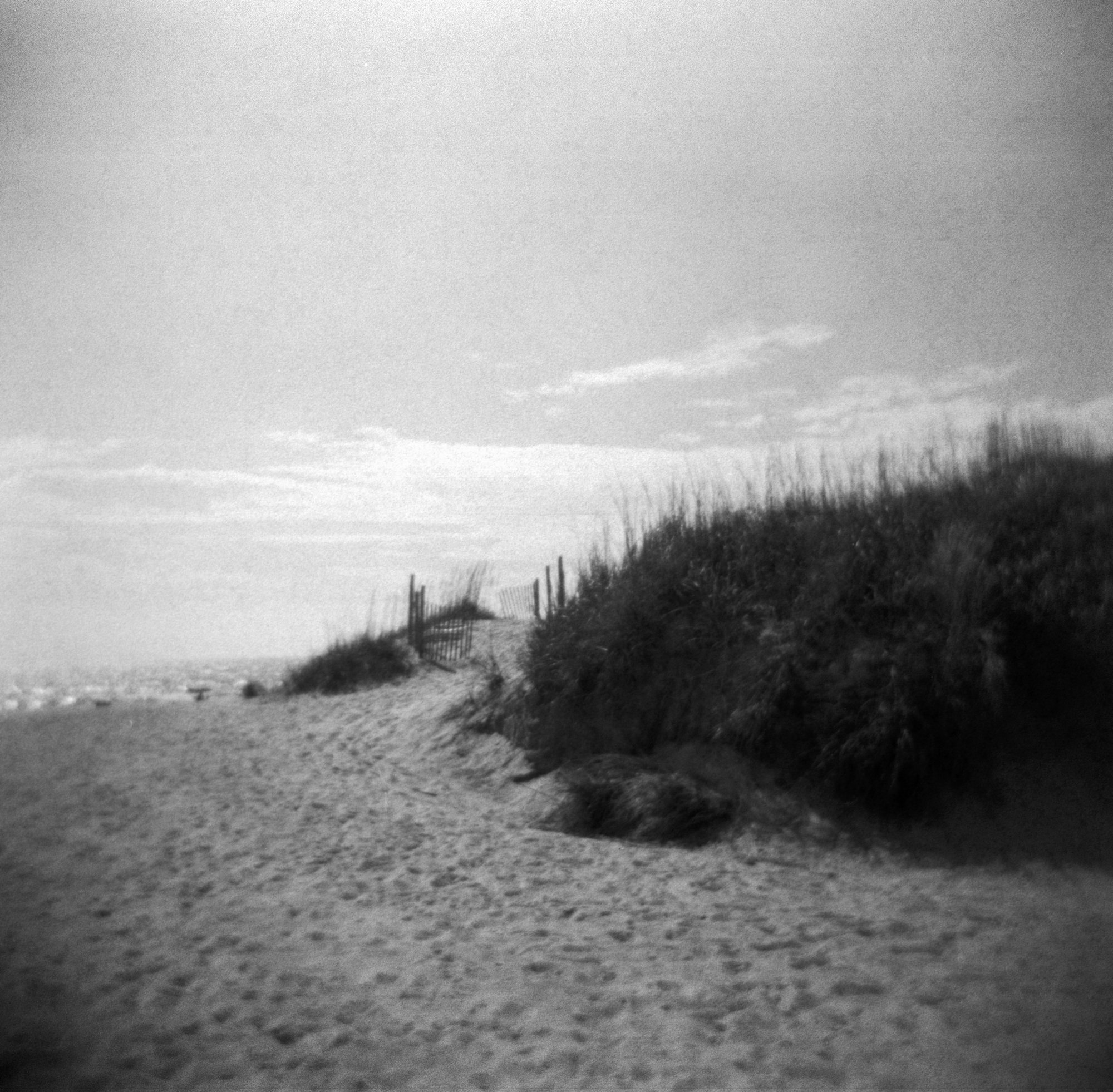 Frugal Film Roll July Holga Holga NC 23 (179 of 12).jpg