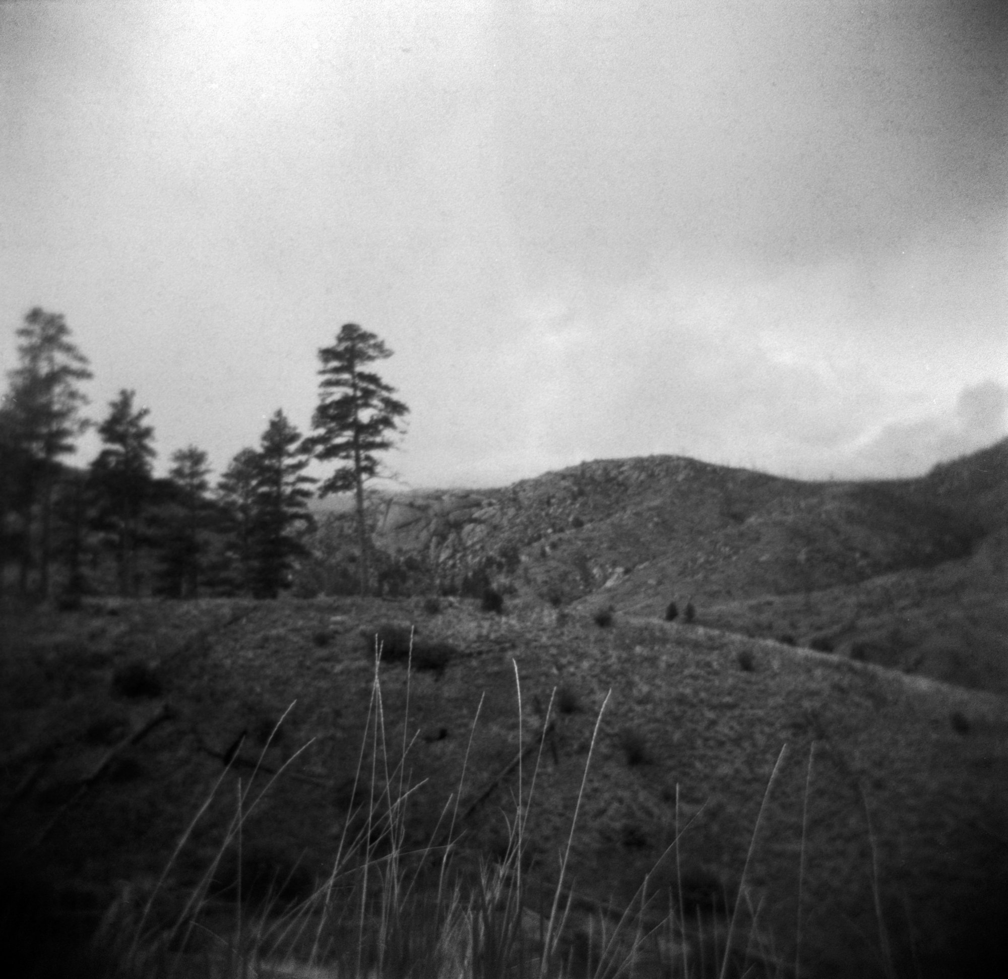 Frugal Film Roll July Holga Holga ITW23 CO (174 of 12).jpg