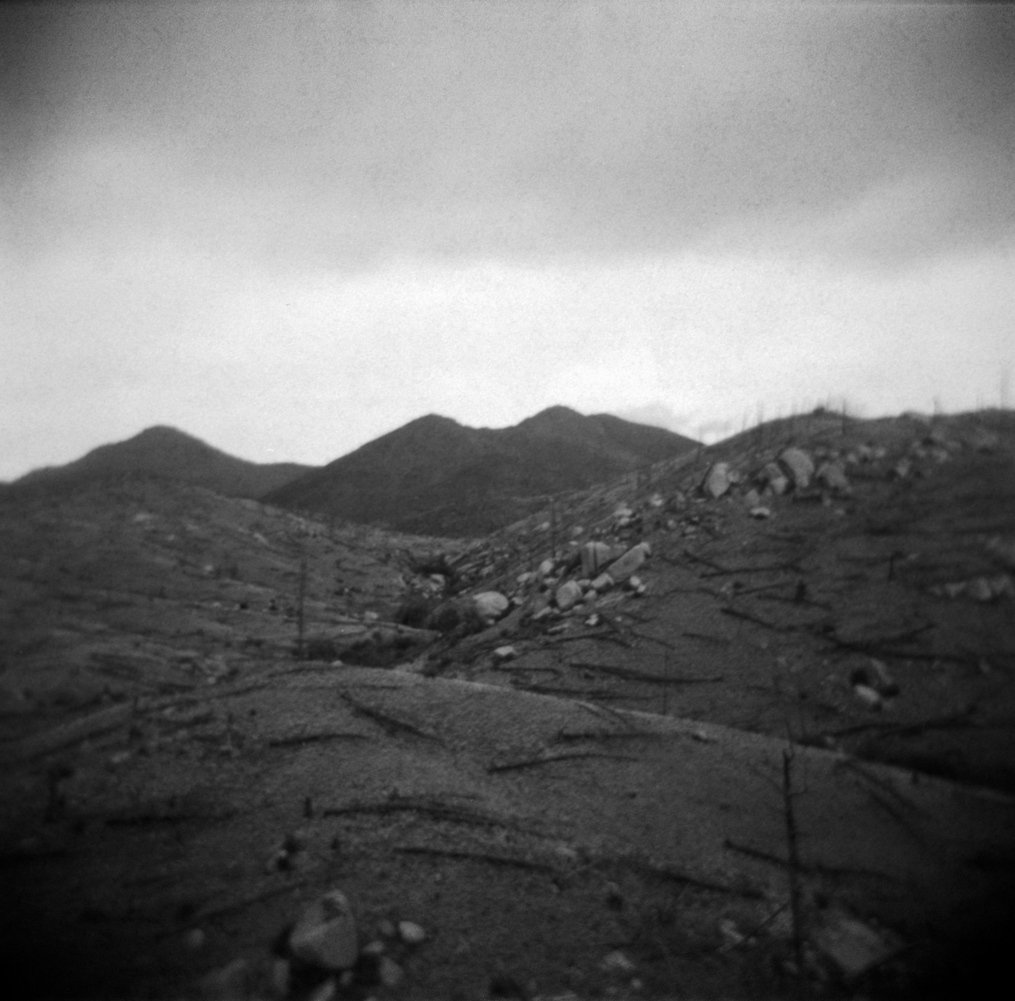 Frugal Film Roll July Holga Holga ITW23 CO (175 of 12).jpg