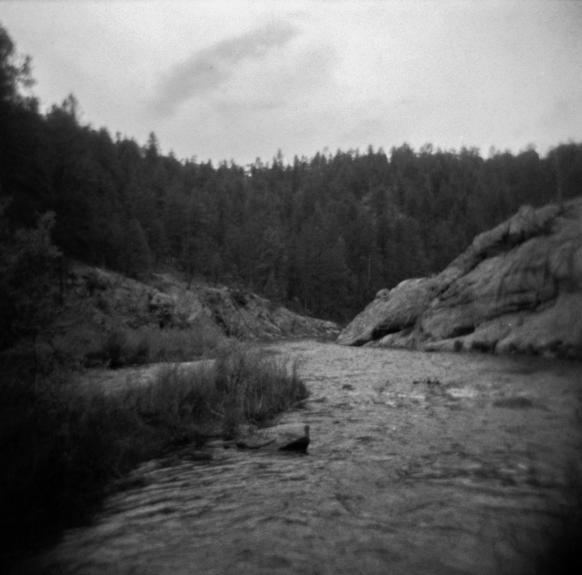 Frugal Film Roll July Holga Holga ITW23 CO (168 of 12).jpg