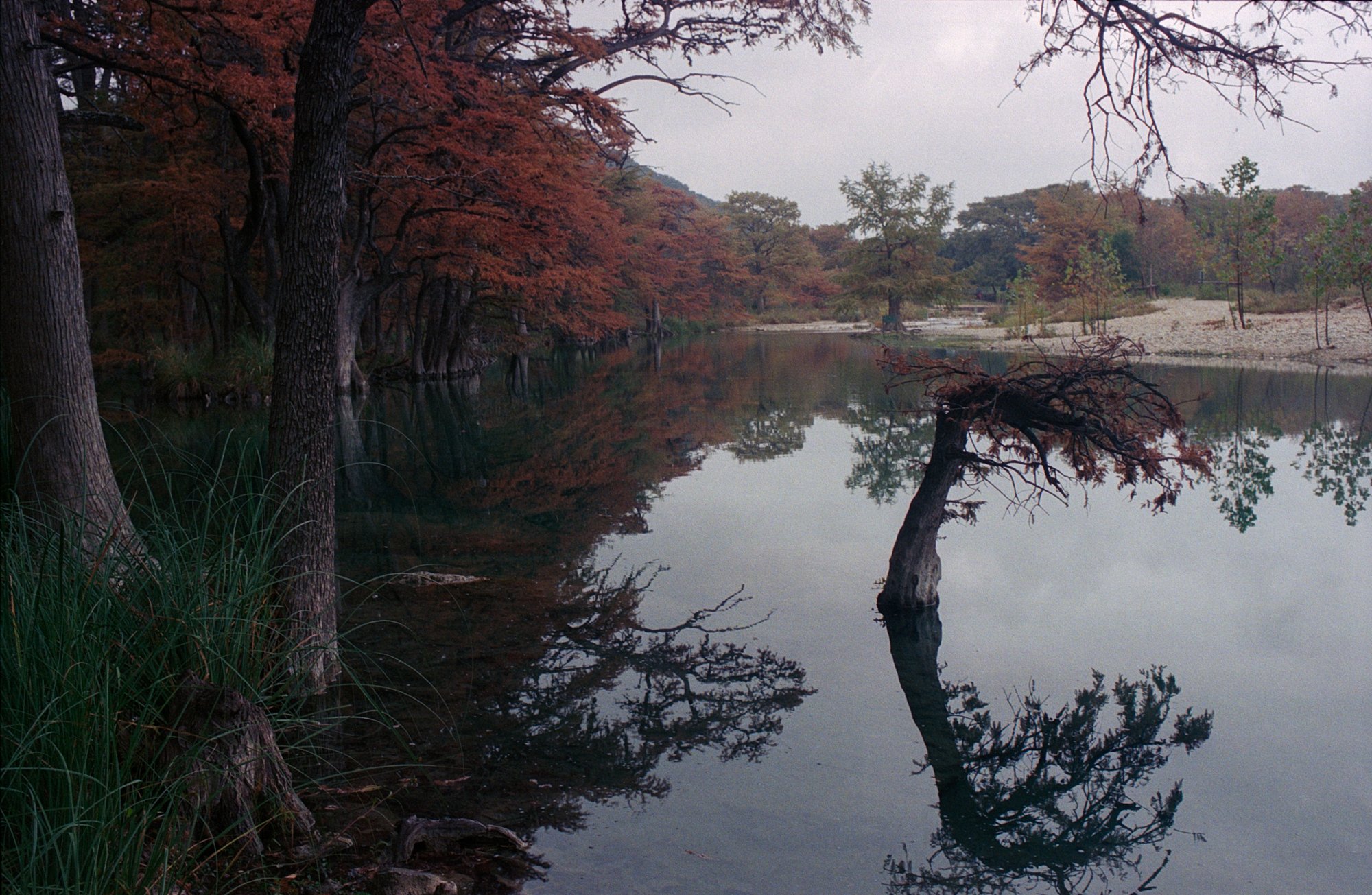 Garner SP Nov 2022 Portra 800 (1 of 3)-2.jpg