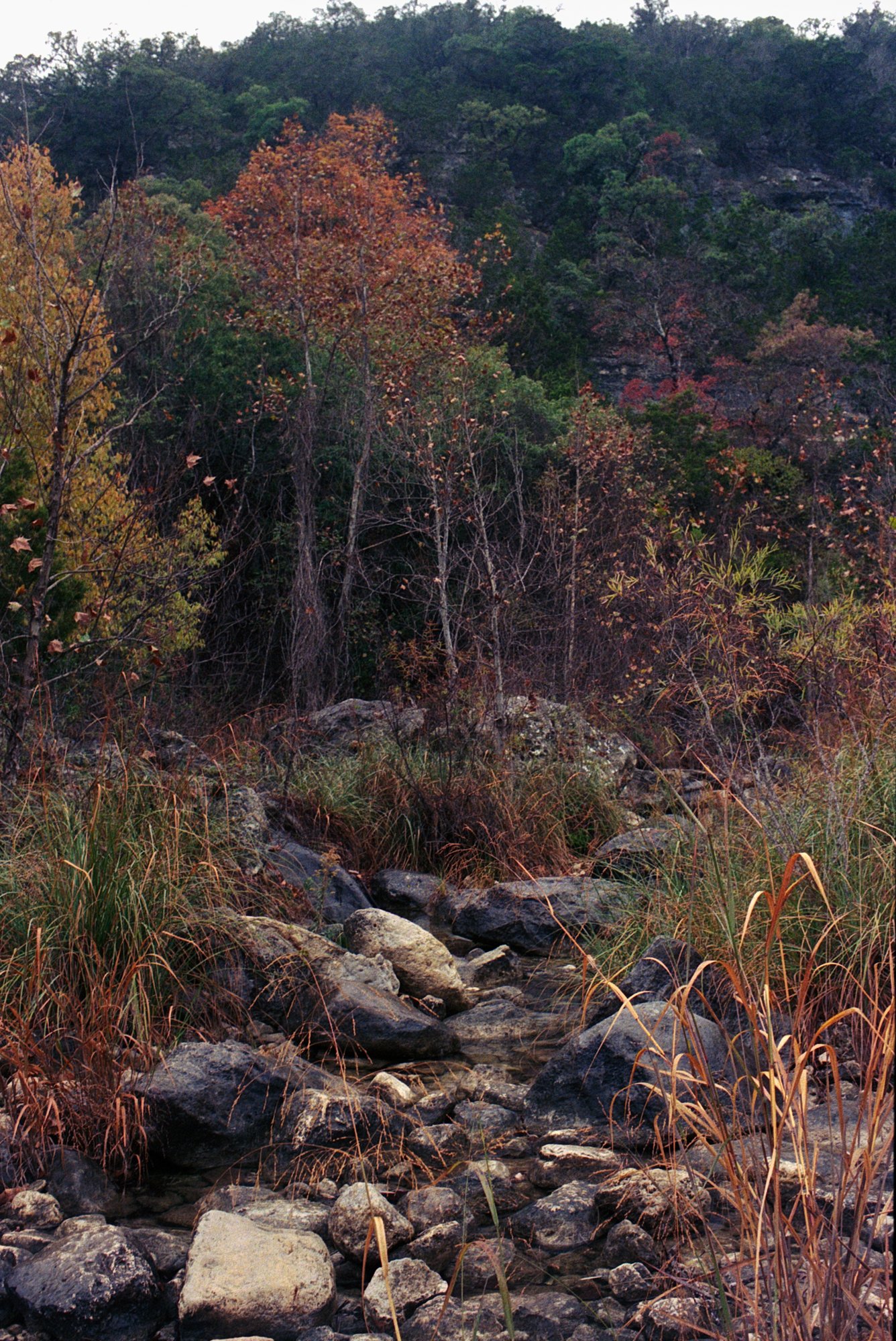 Garner SP Nov 2022 Portra 800 (2 of 3).jpg