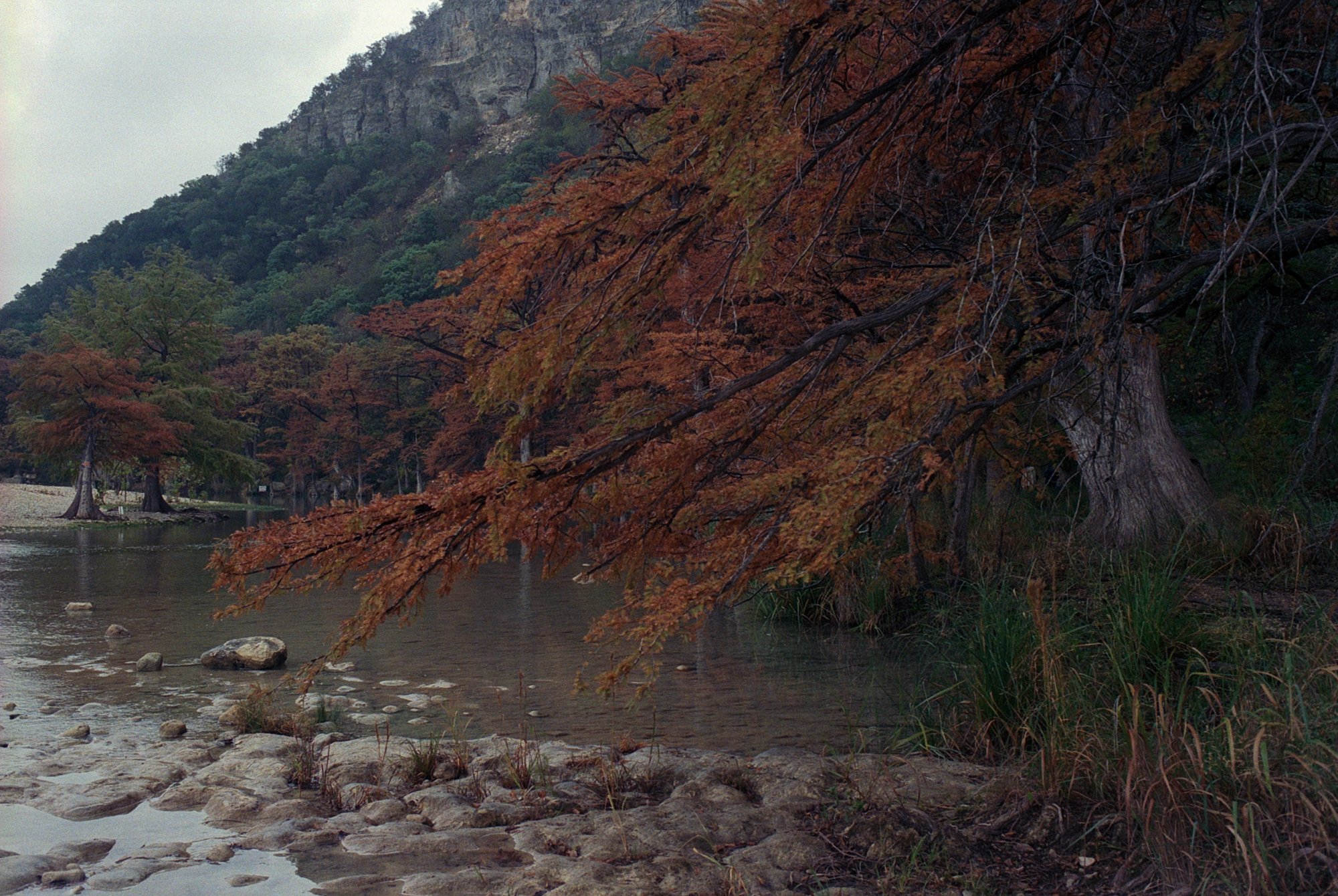 Garner SP Nov 2022 Portra 800 (1 of 1).jpg