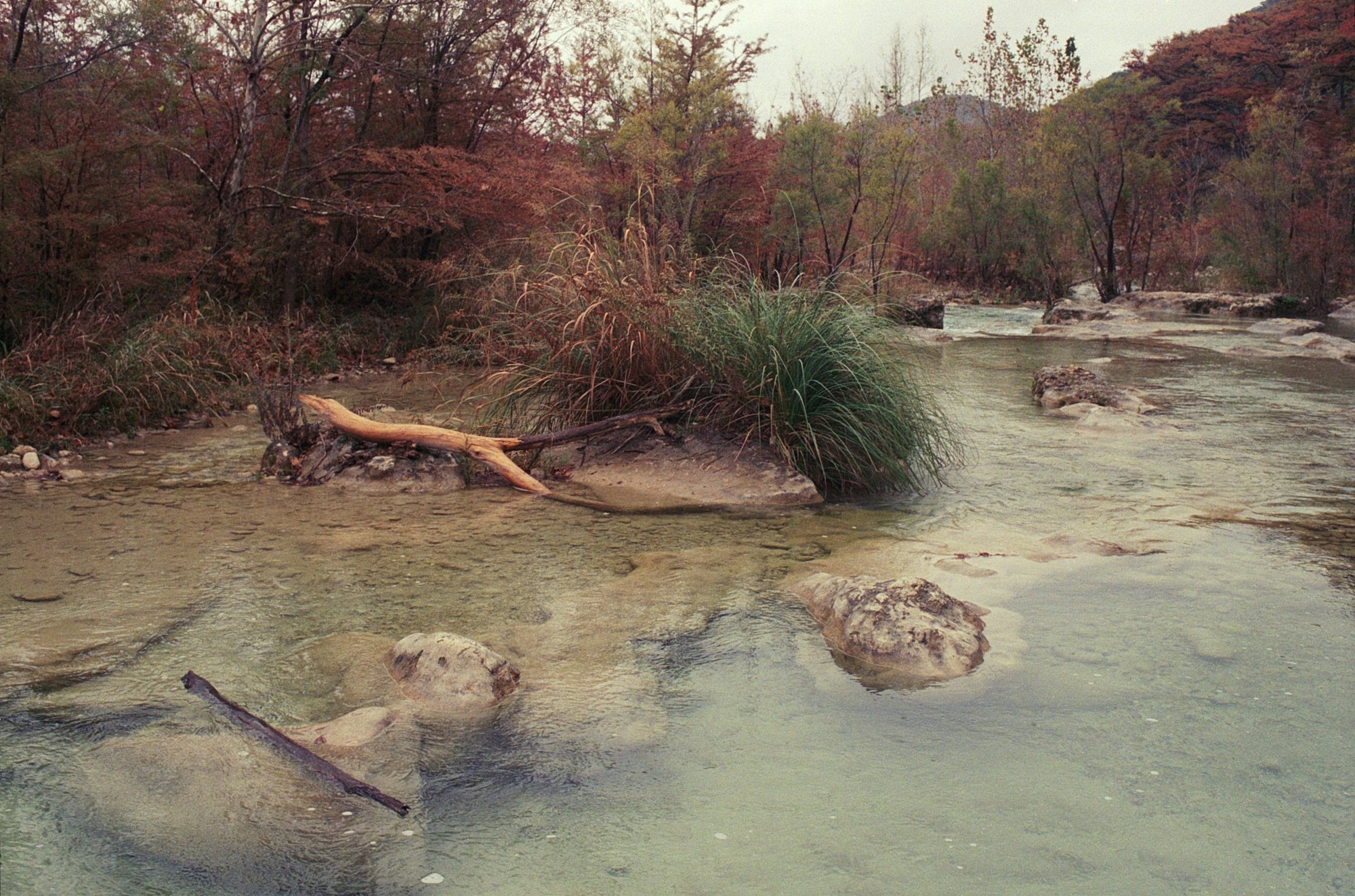 Garner SP Nov 2022 Portra 800 (1 of 3).jpg