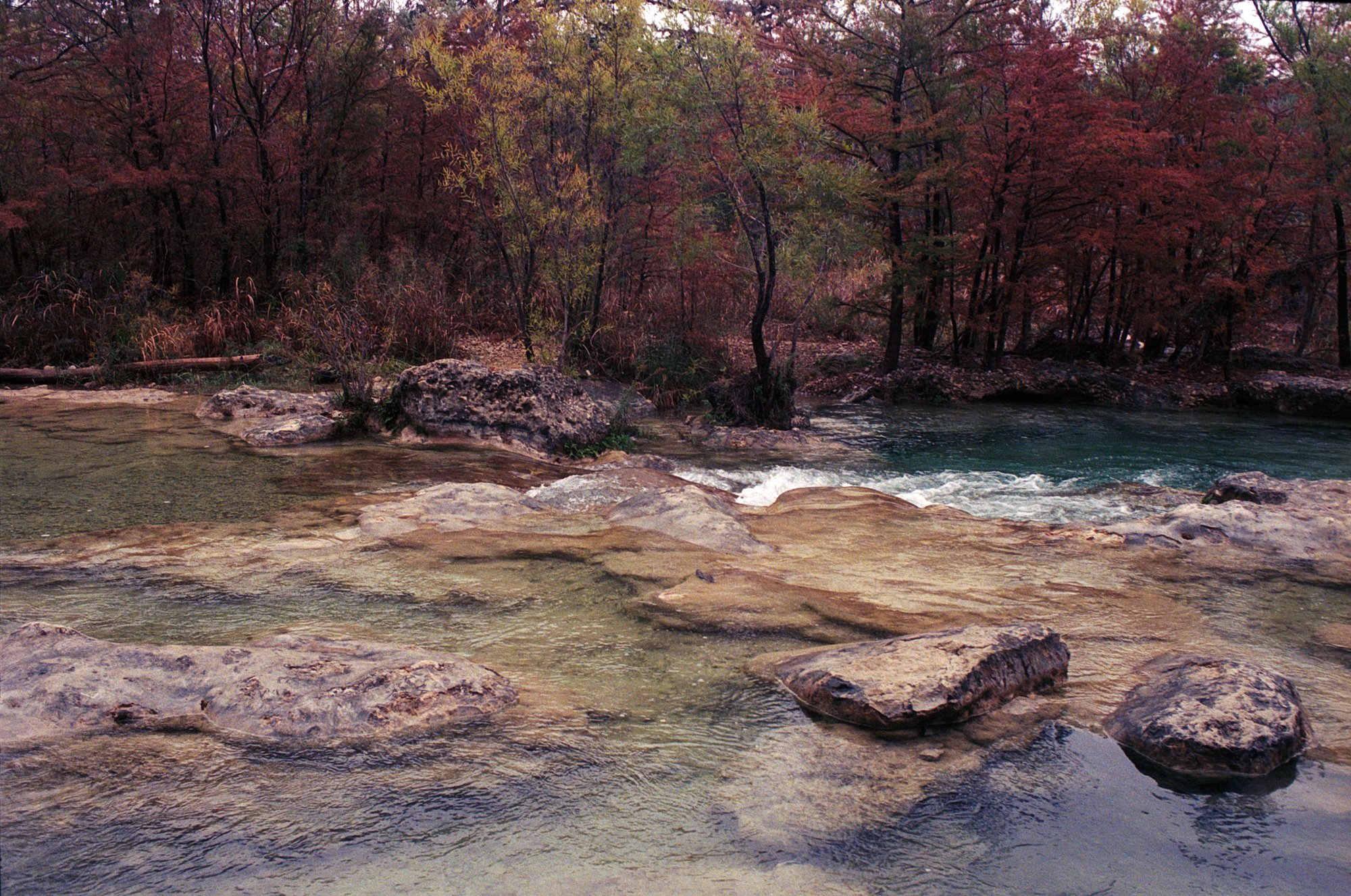 Garner SP Nov 2022 Portra 800 (3 of 3)-2.jpg