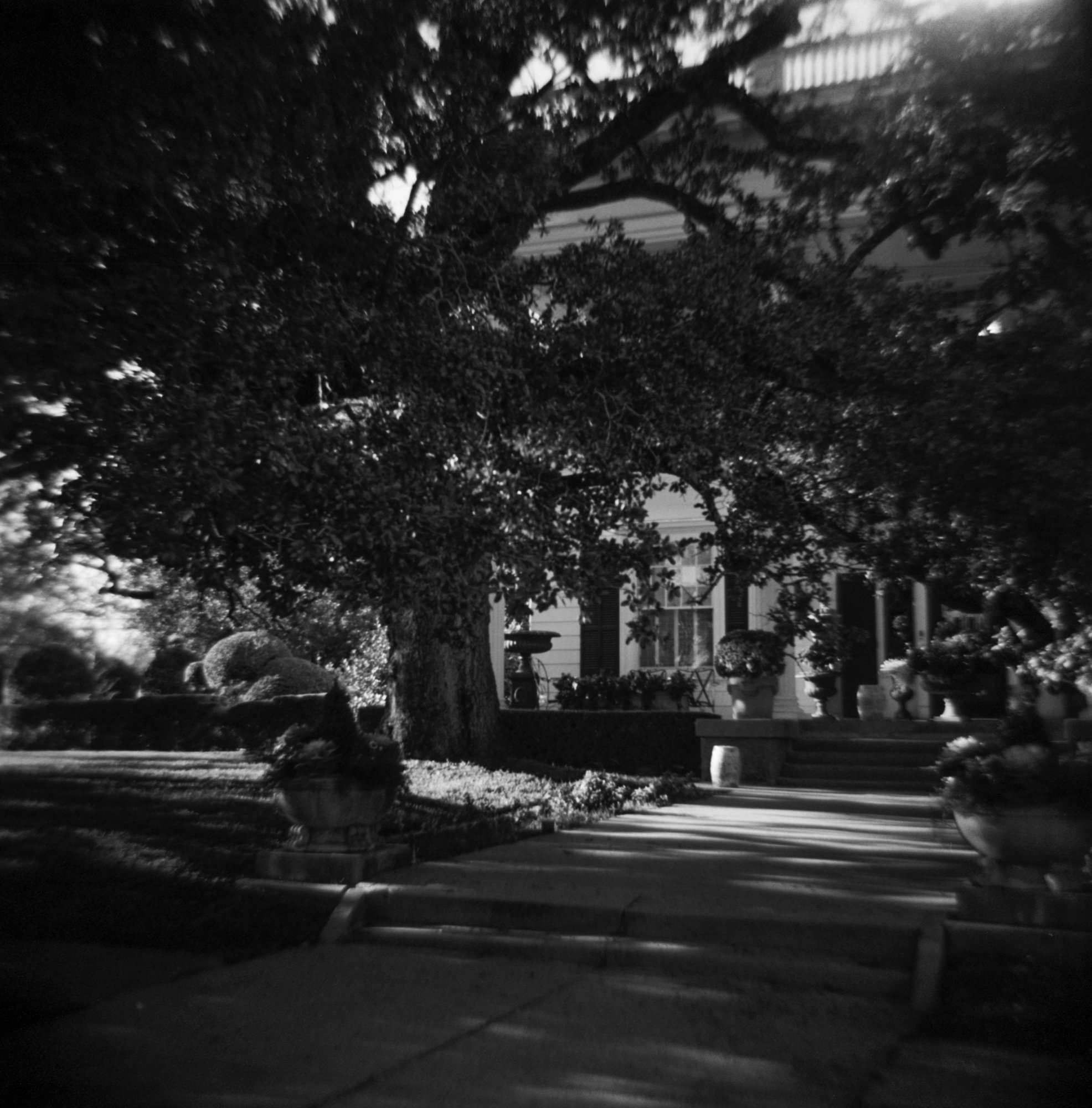 Diana Kentmere waco 24 Jan austin ave etc  (1 of 11).jpg