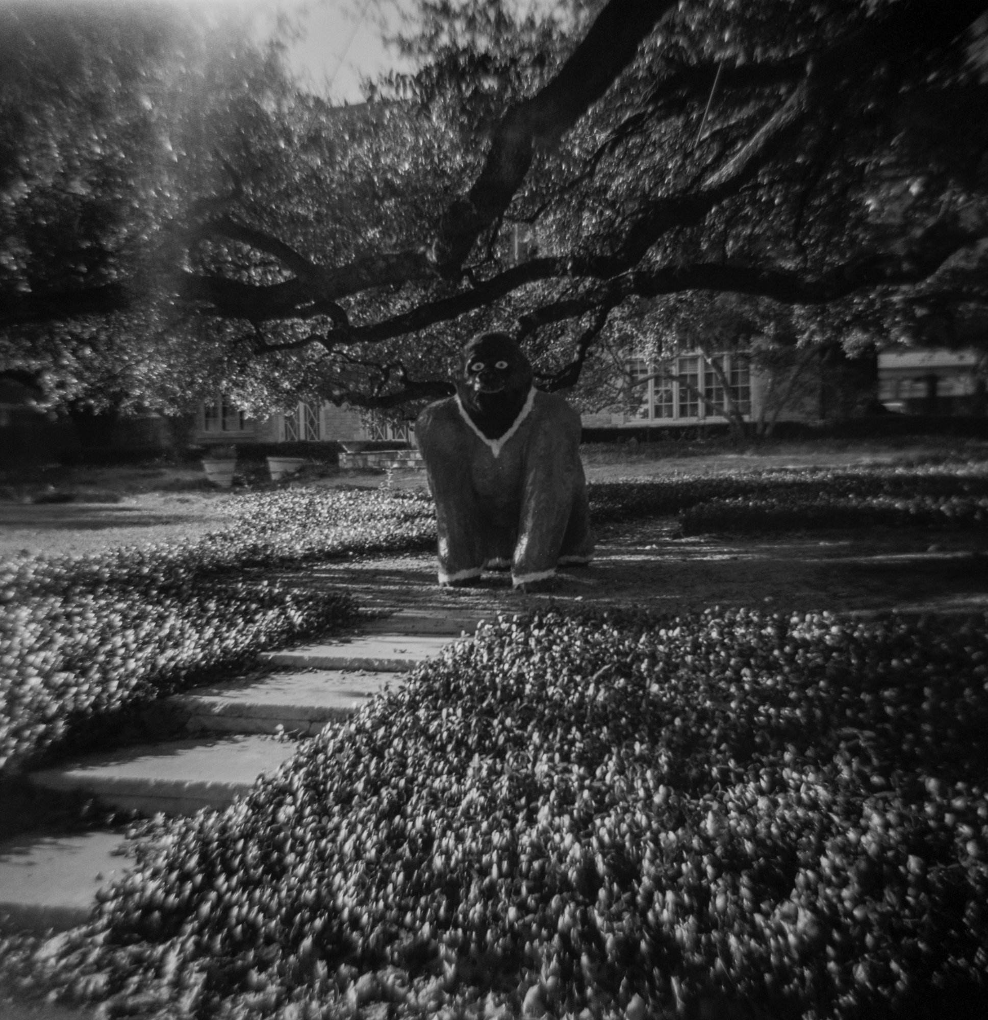 Diana Kentmere waco 24 Jan austin ave etc  (8 of 11).jpg