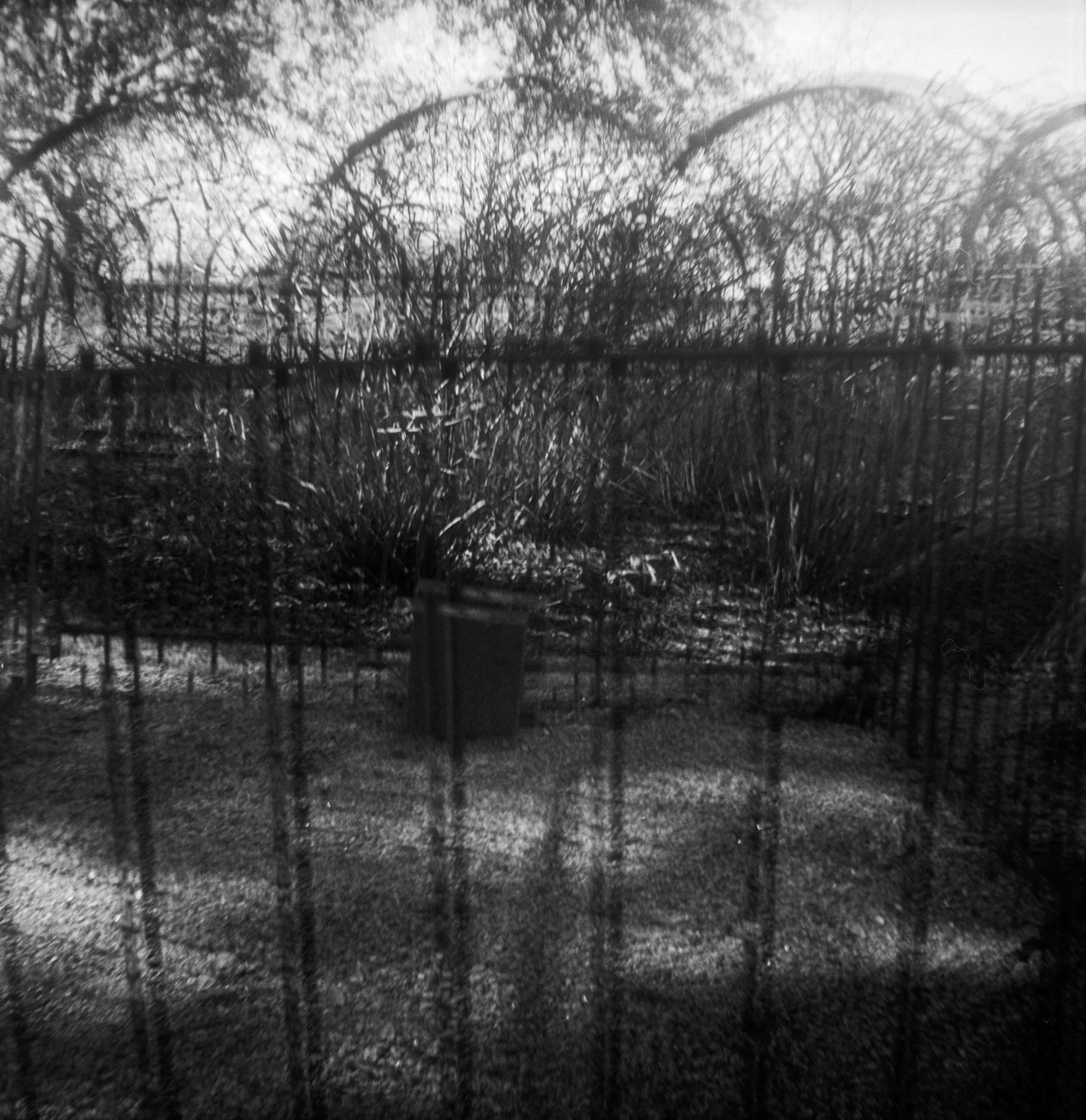 Brownie FP4 3 Feb berry springs (11 of 12).jpg