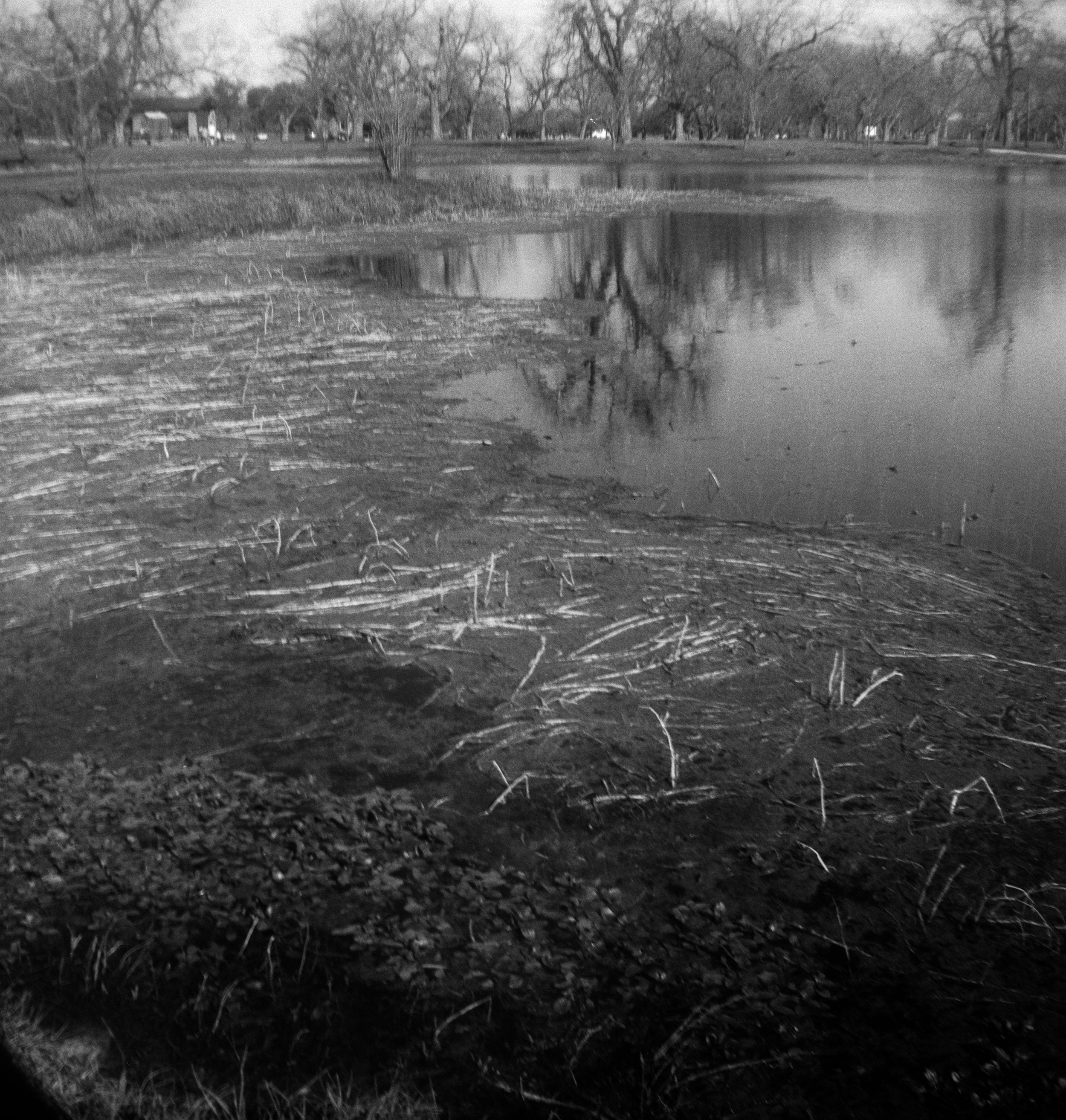 Brownie FP4 3 Feb berry springs (6 of 12).jpg