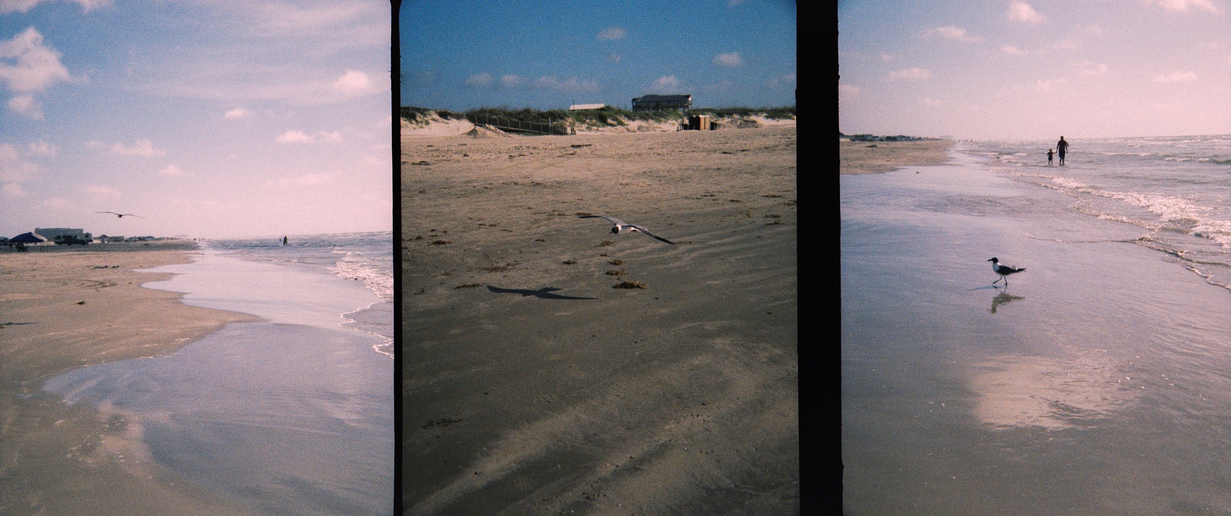 Holga TIM Ektachrome xpro beach  8.jpg
