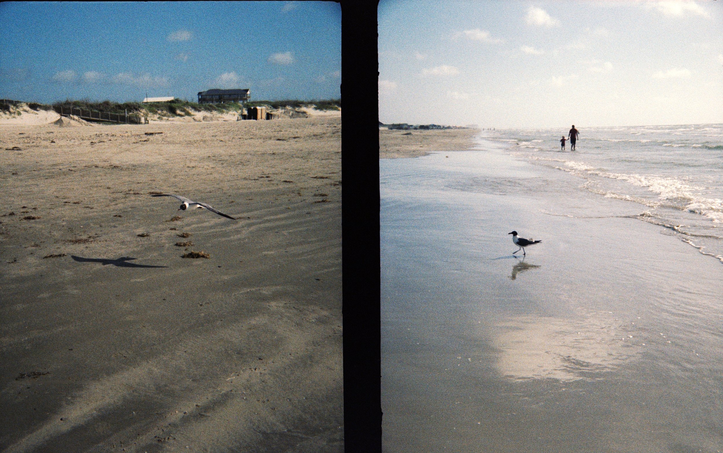 Holga TIM Ektachrome xpro beach  7.jpg