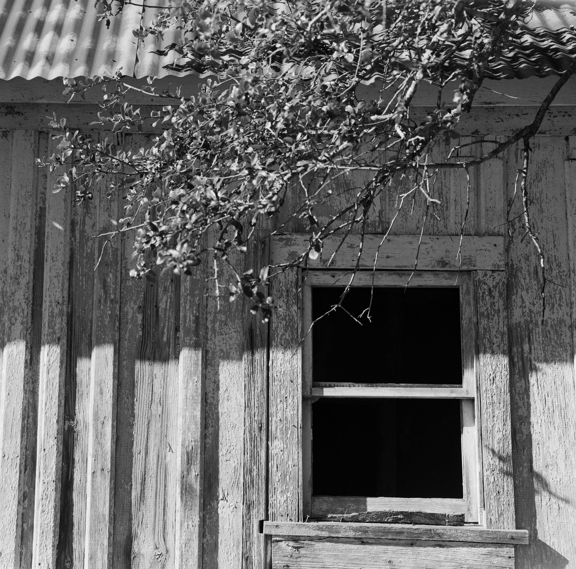 Georgetown TX Berry Springs Oct 2017 final (9 of 1).jpg