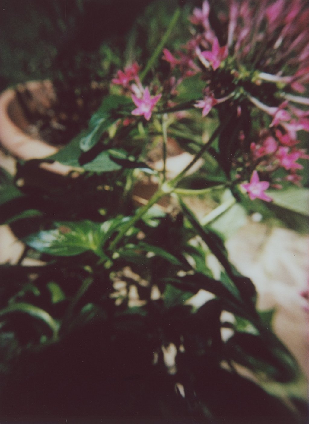Little Instants | April