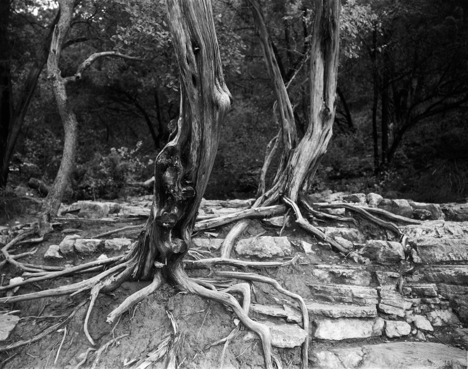 twin falls nov 2016 sm (6 of 8).jpg