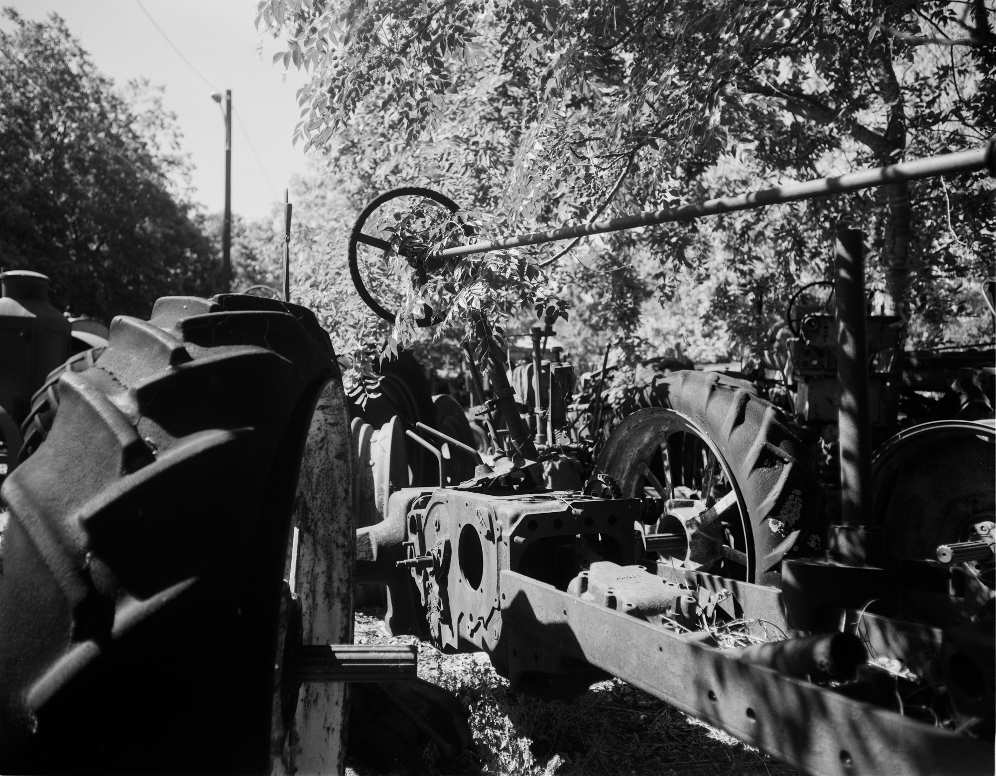 2017 4x5s resized (10 of 11).jpg