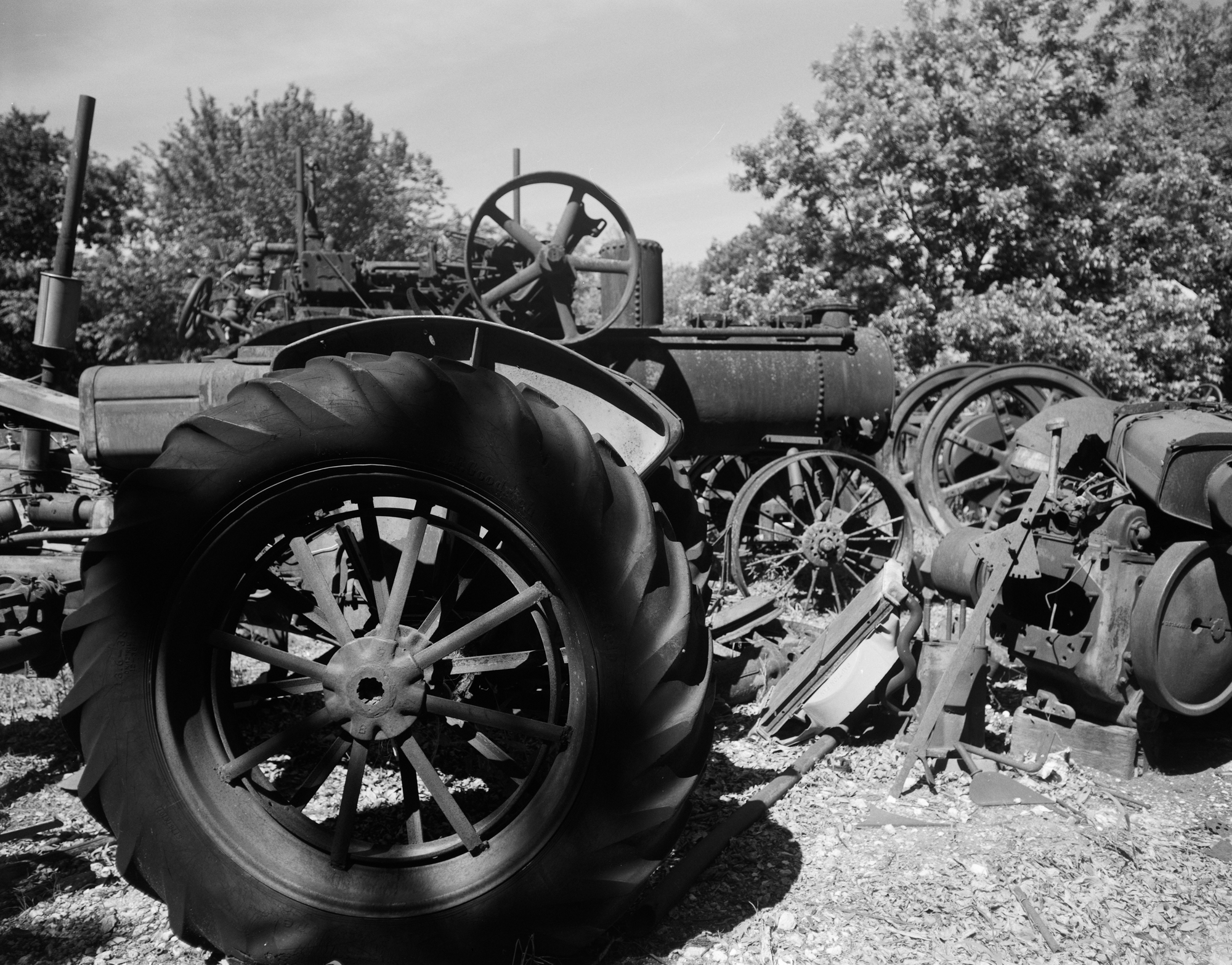 2017 4x5s resized (13 of 11).jpg