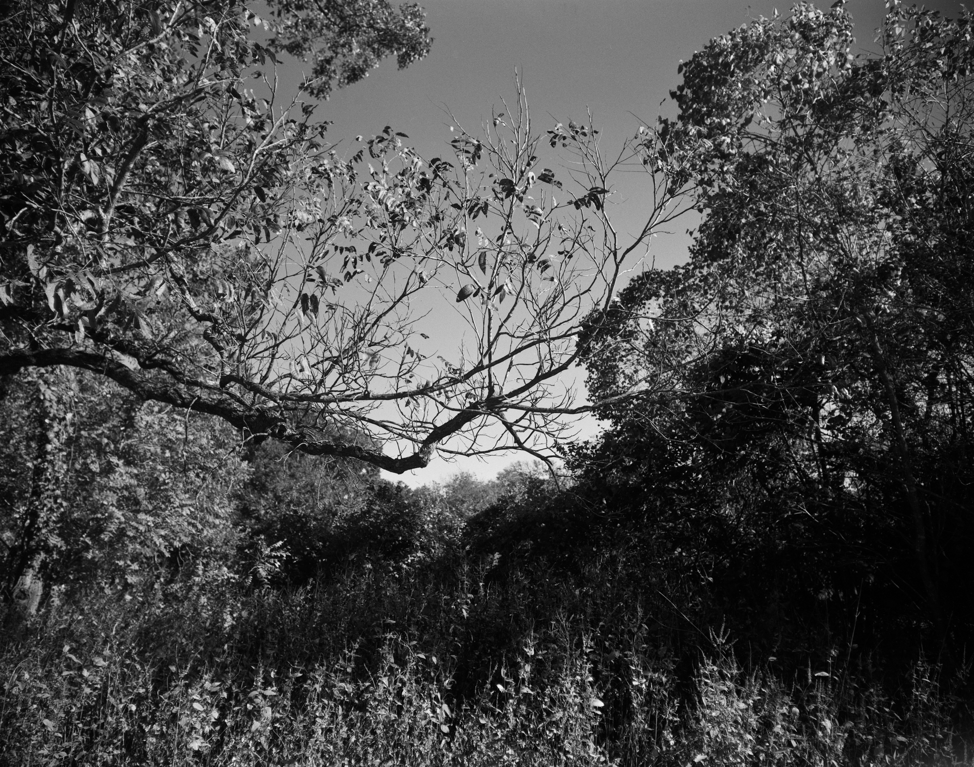 Georgetown TX Berry Springs Oct 2017 LF final (1 of 1).jpg