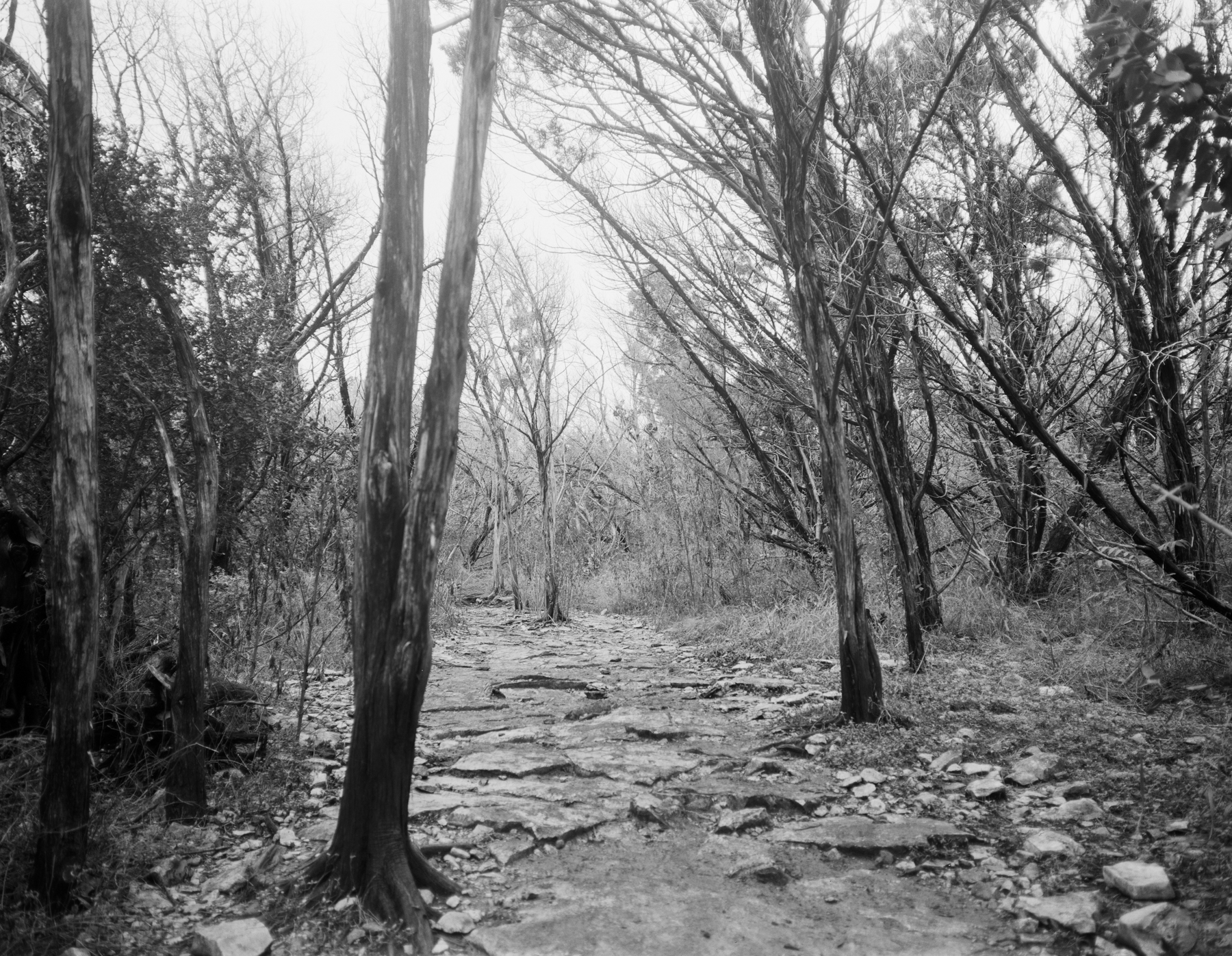 twin falls nov 2016 sm (8 of 8).jpg