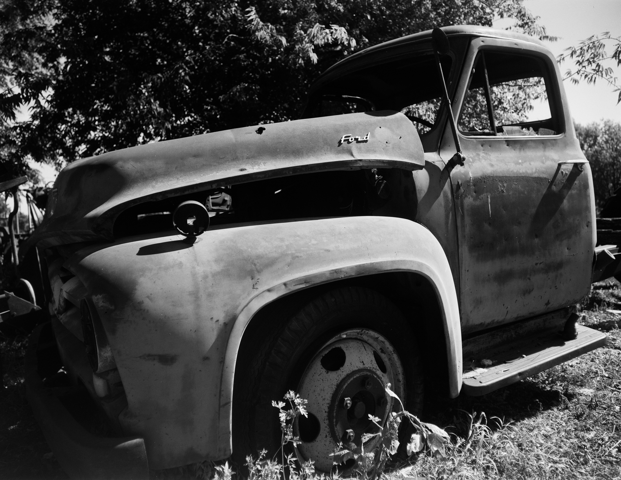 2017 4x5s resized (16 of 11).jpg