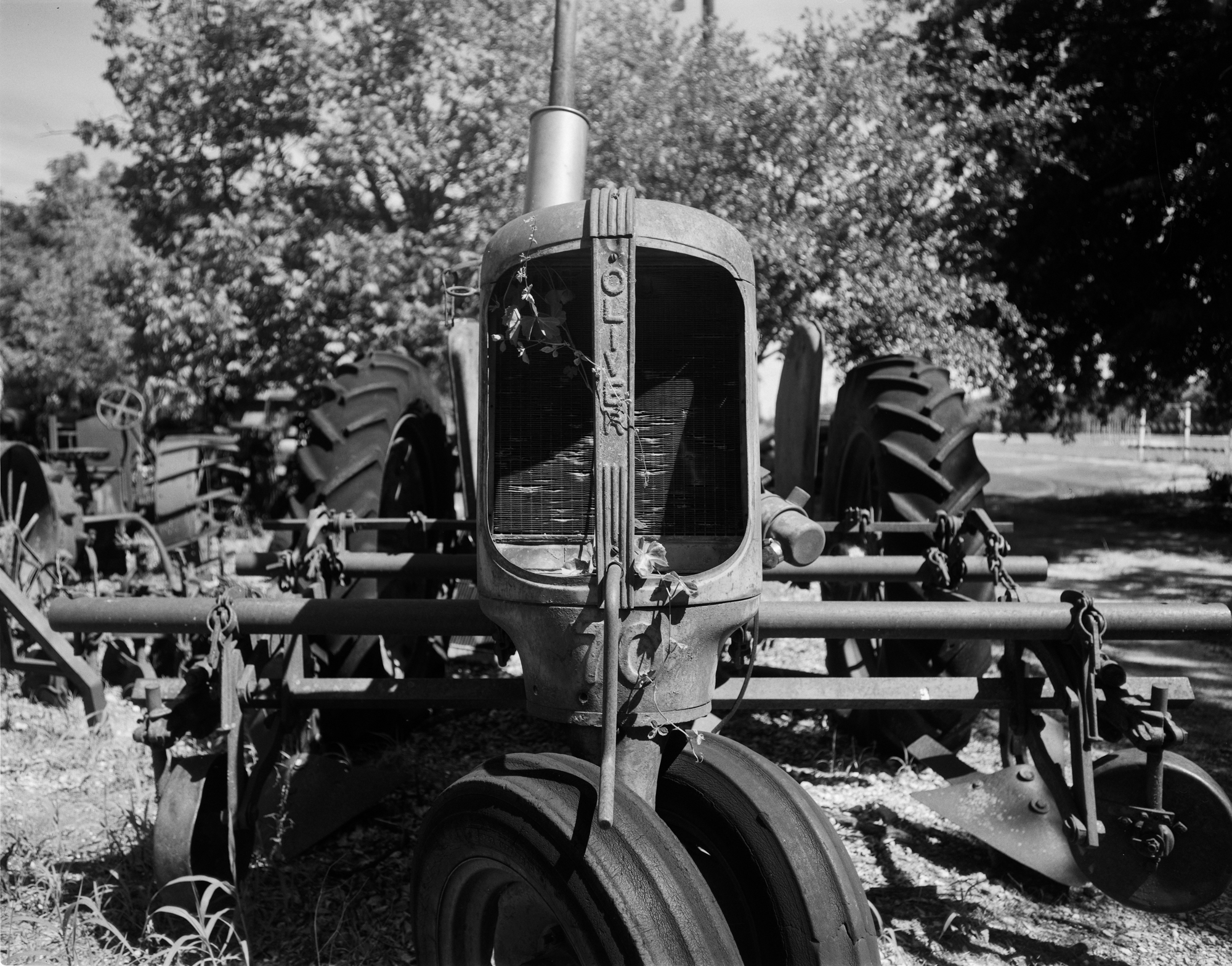 2017 4x5s resized (11 of 11).jpg