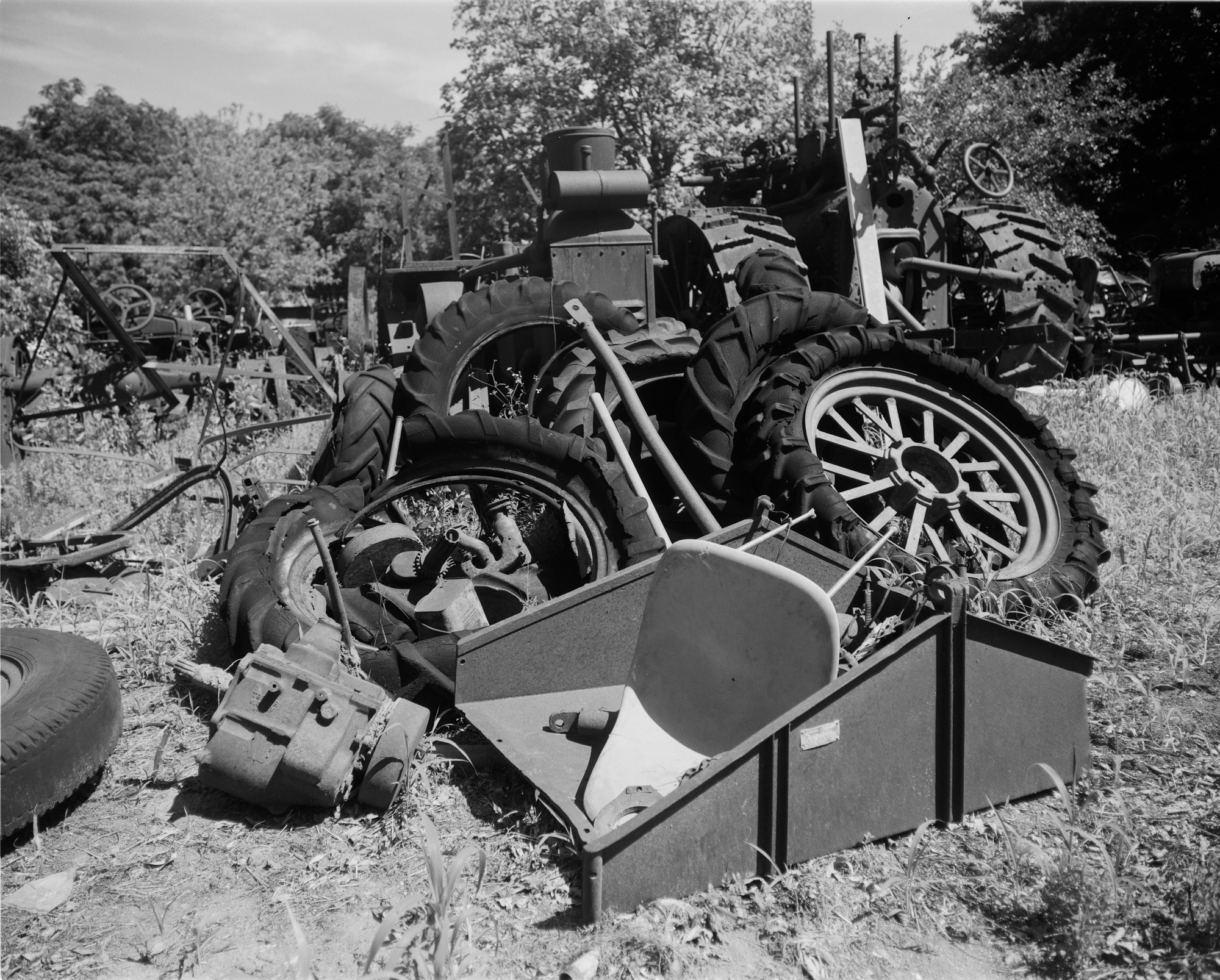 2017 4x5s resized (12 of 11).jpg