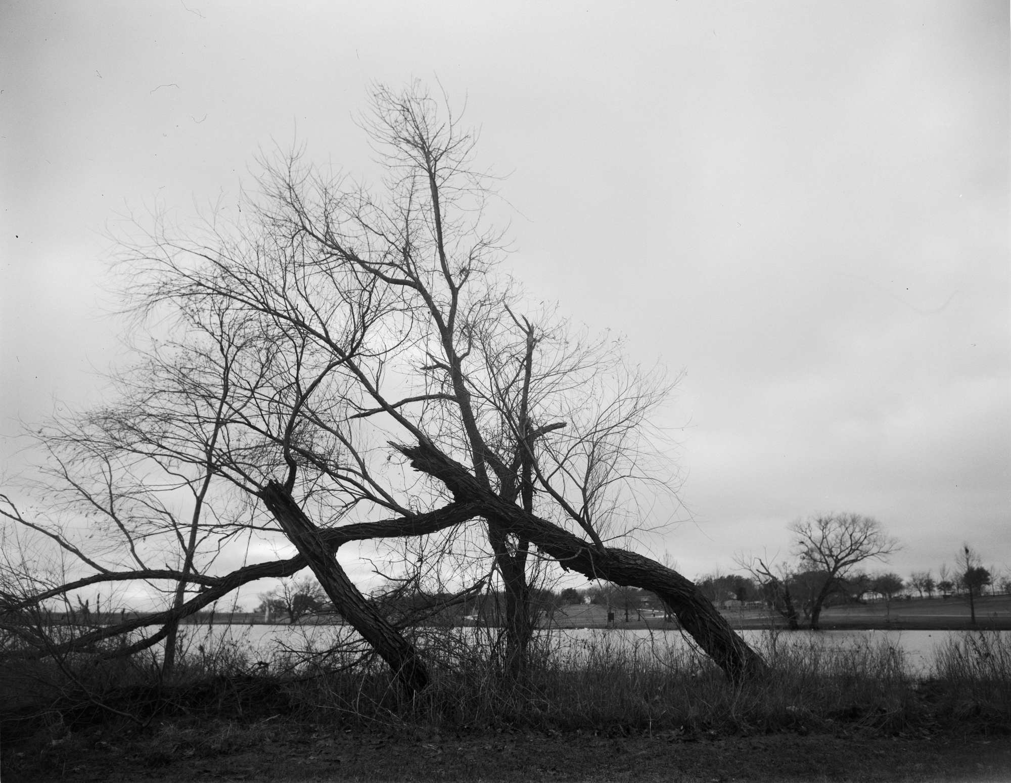 2017 4x5s resized (3 of 5).jpg