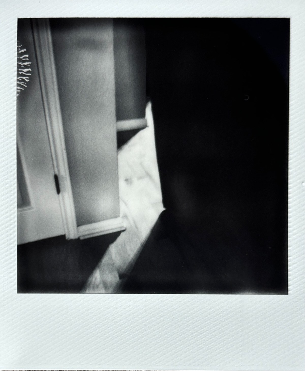 Winner Winner Chicken&nbsp;Dinner!