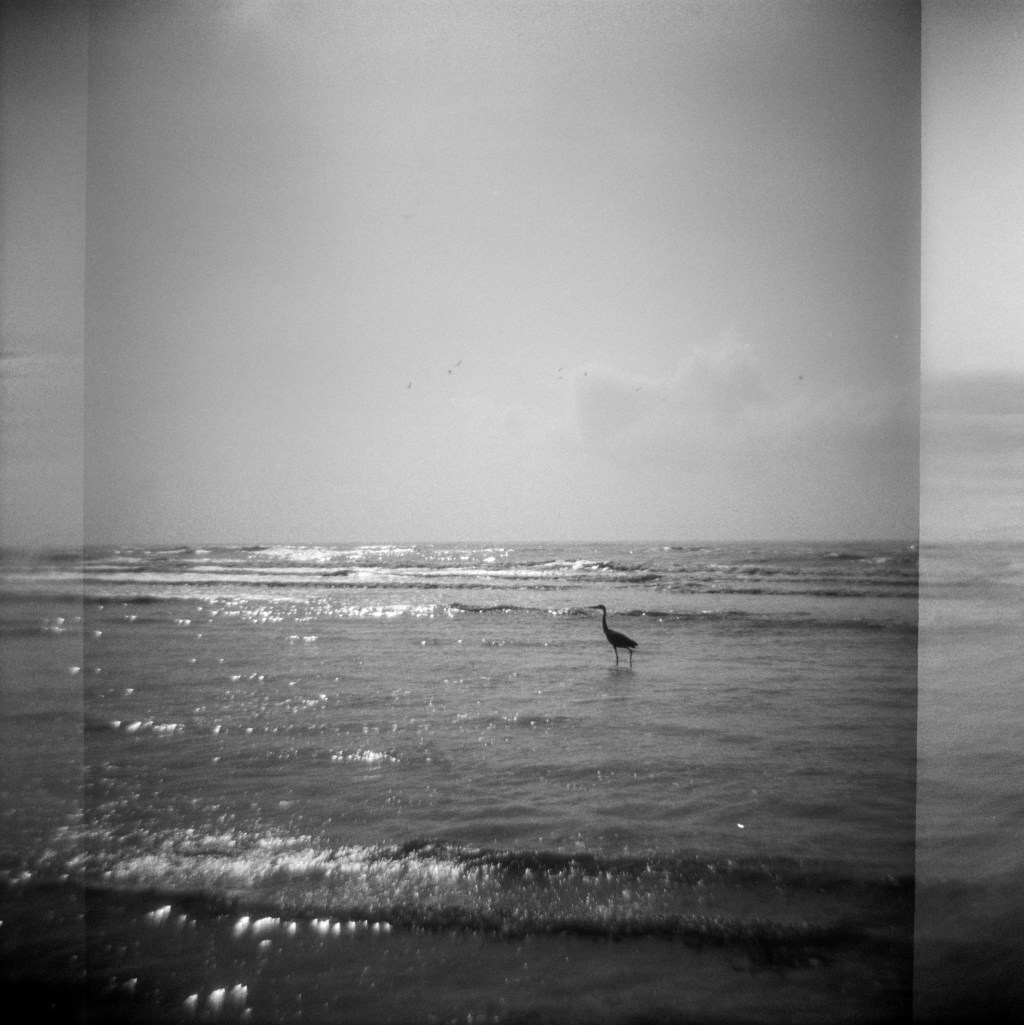 This image has an empty alt attribute; its file name is frugal-film-june-24-port-a-diana-f-kentmere-pan-400-11-of-16.jpg