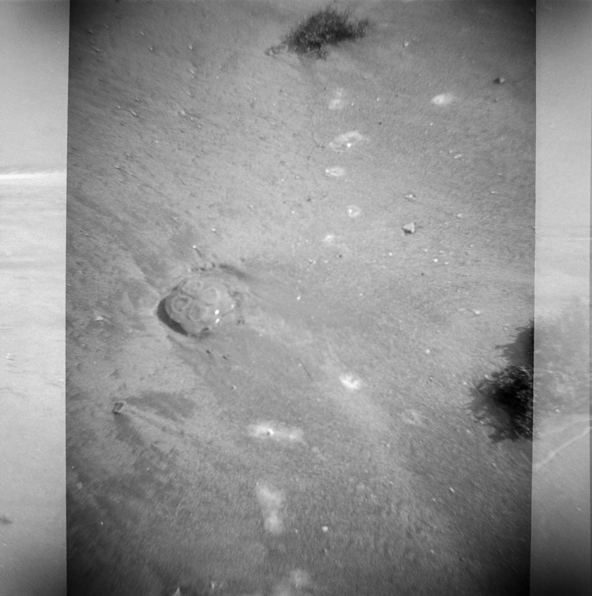 Frugal Film Project:&nbsp;June